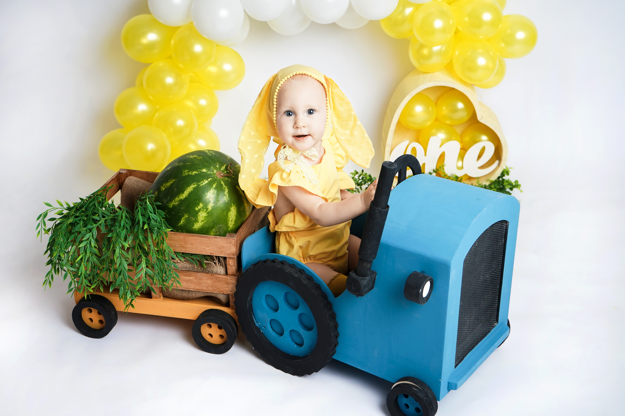 Годовасики. Фотограф новорожденных чита