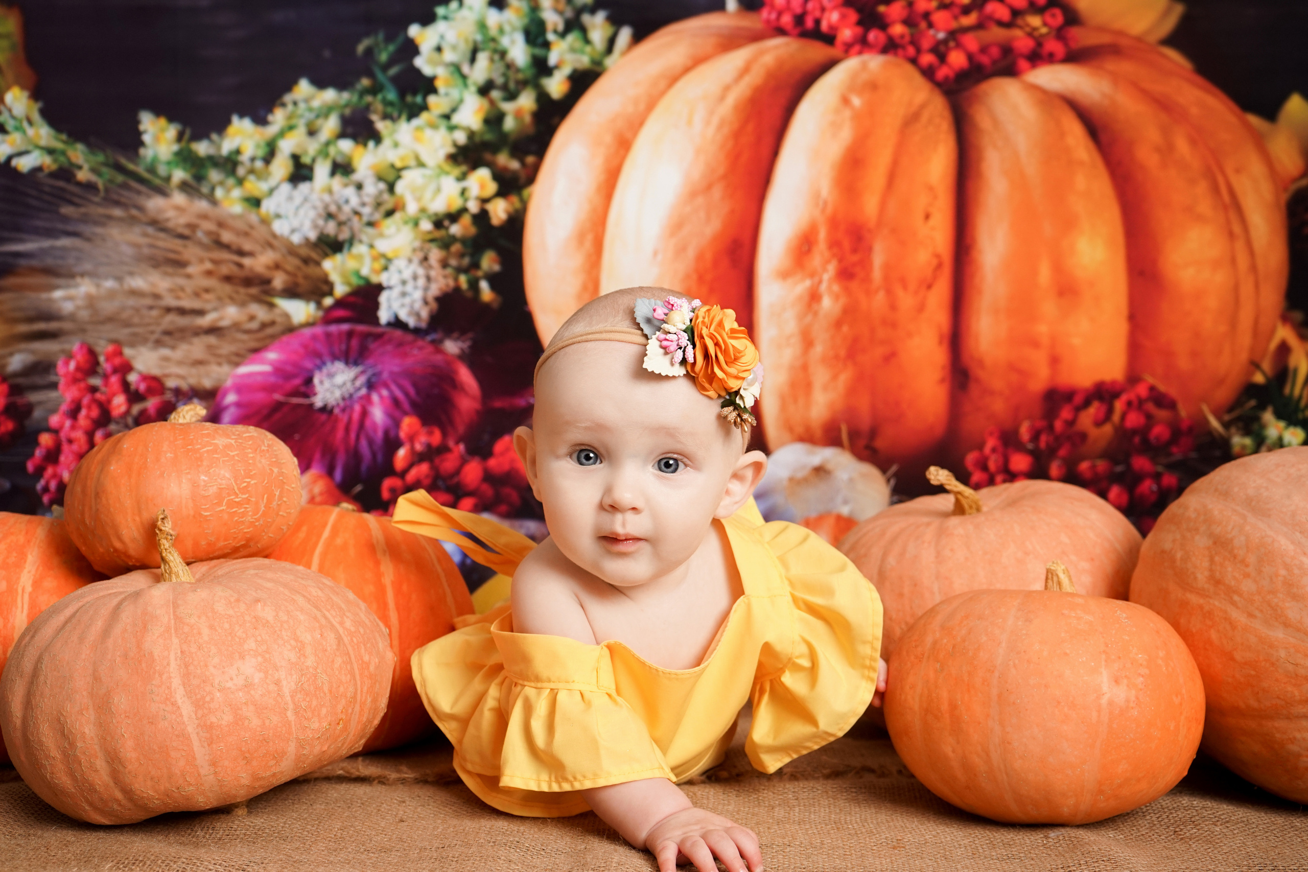 Детки с 3 месяцев до двух лет. Фотограф новорожденных чита