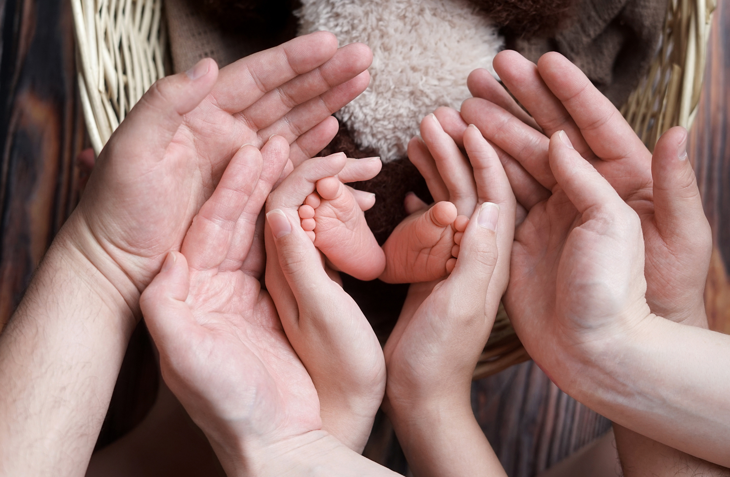 Новорожденные. Фотограф новорожденных чита