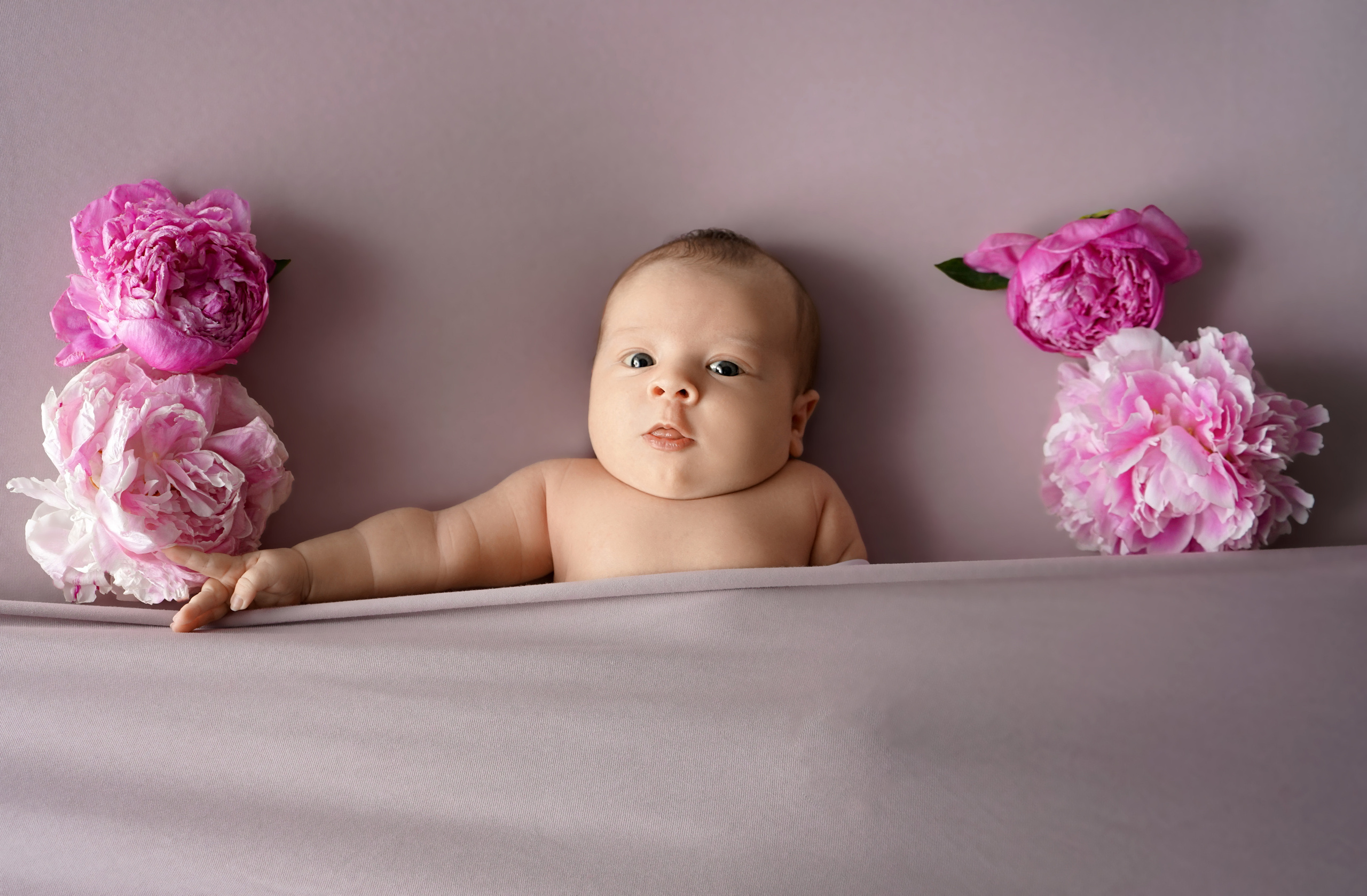 Новорожденные. Фотограф новорожденных чита