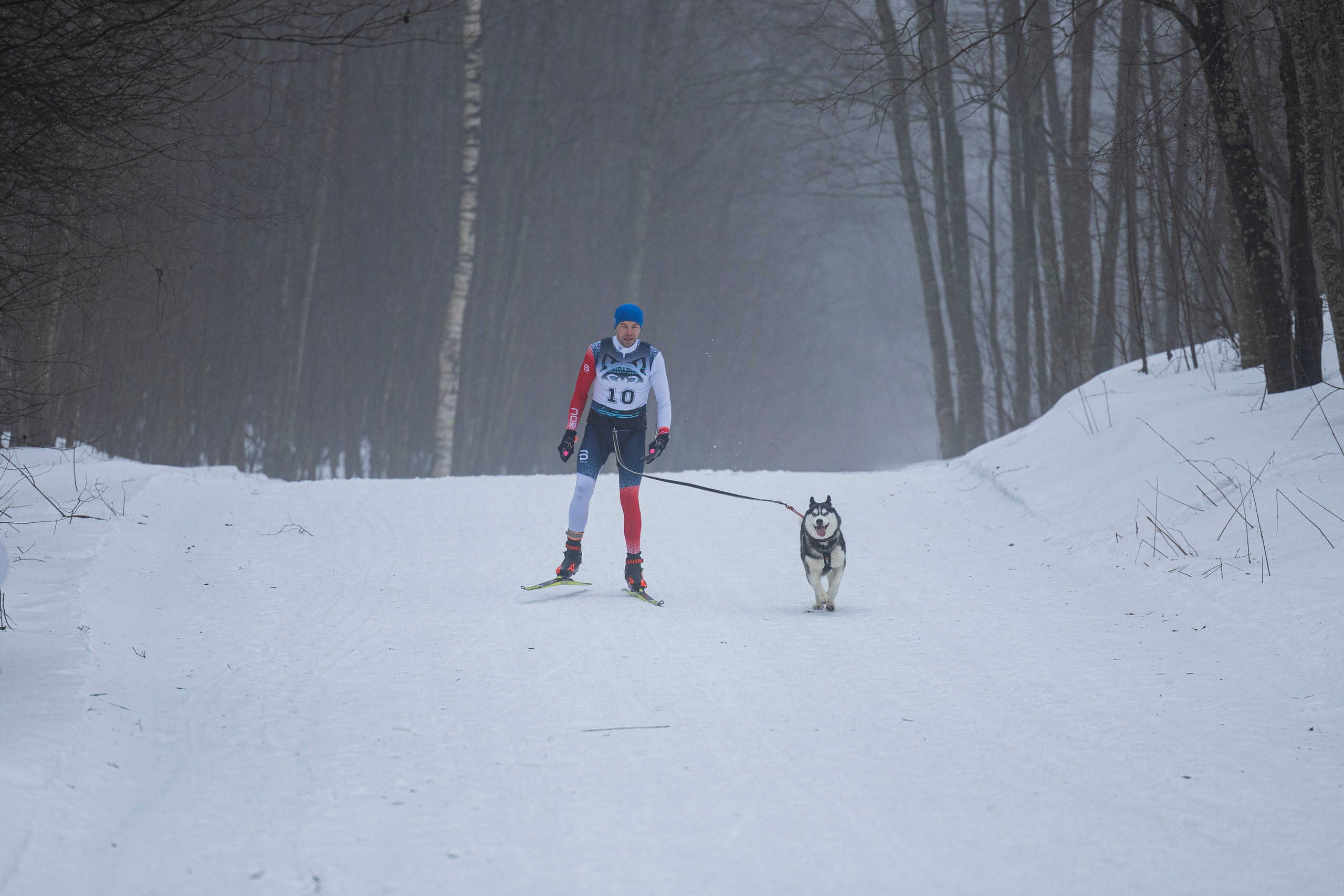 Зимний Чемпионат Санкт-Петербурга по ездовому спорту. Фотограф-анималист Анна Маринич