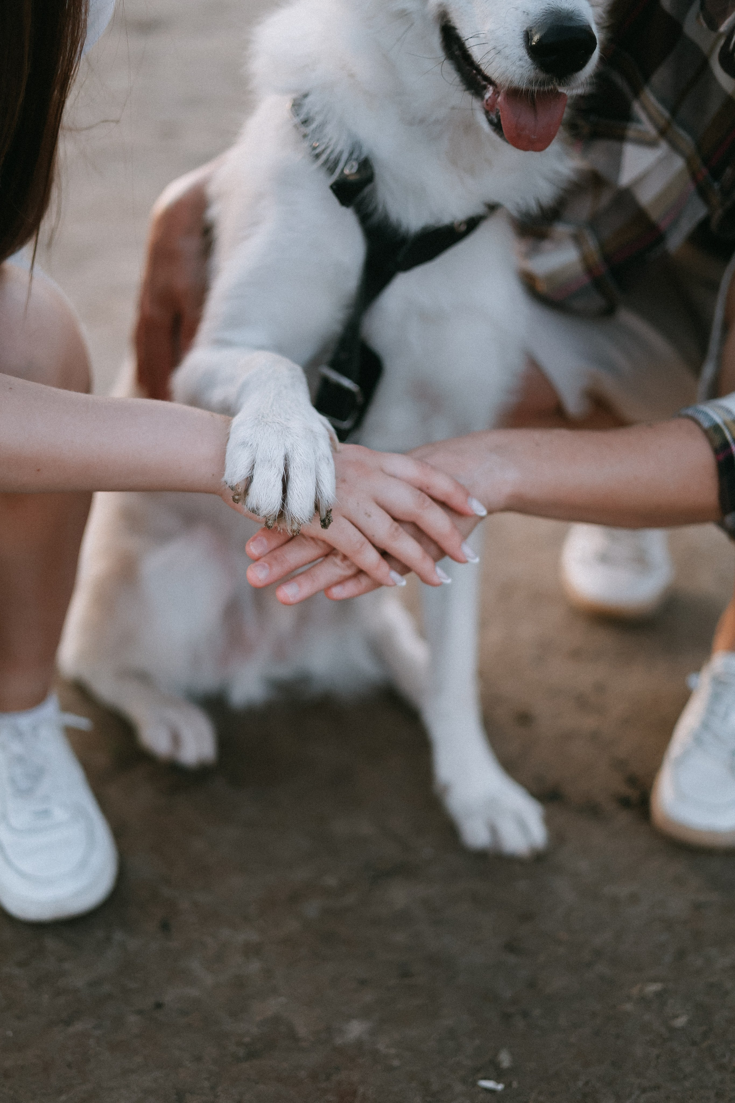 Наталья & Ася & Балу. Фотограф Елизавета Наумова