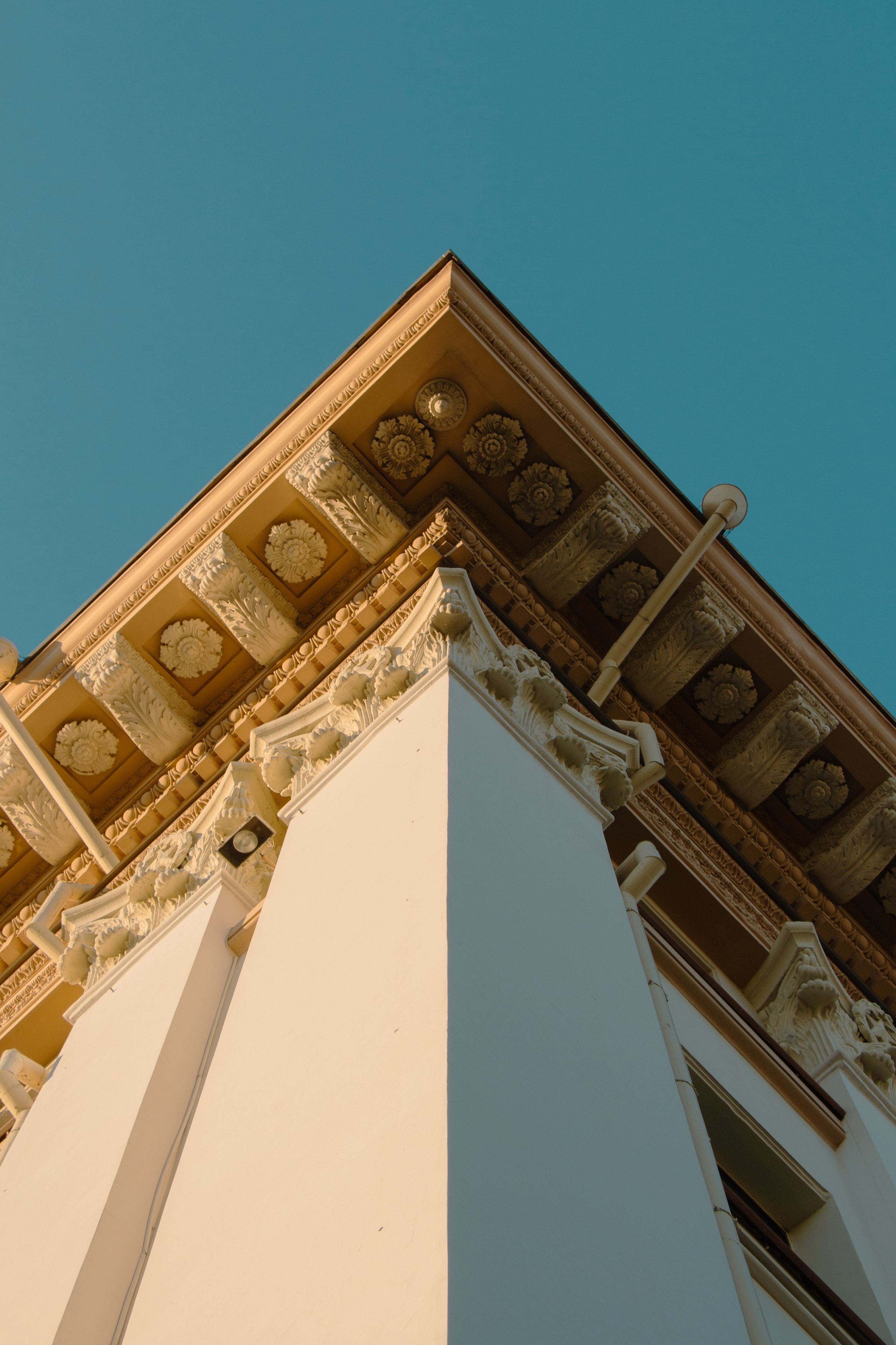 Тюмень. Фотограф в Тюмени Анастасия Долинина