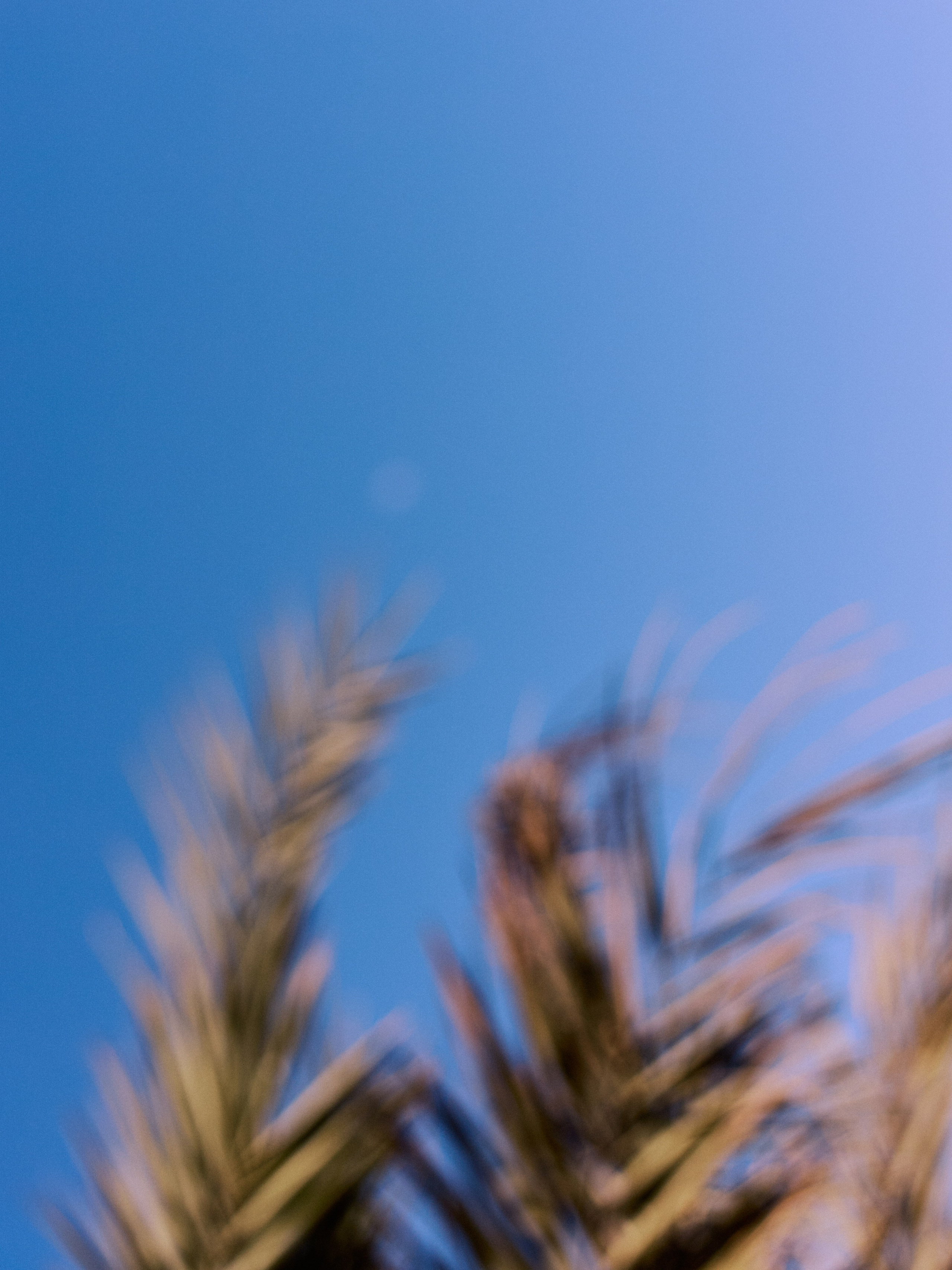 Другое 4. Jorgis — фотограф в Хургаде / обучение фотографии