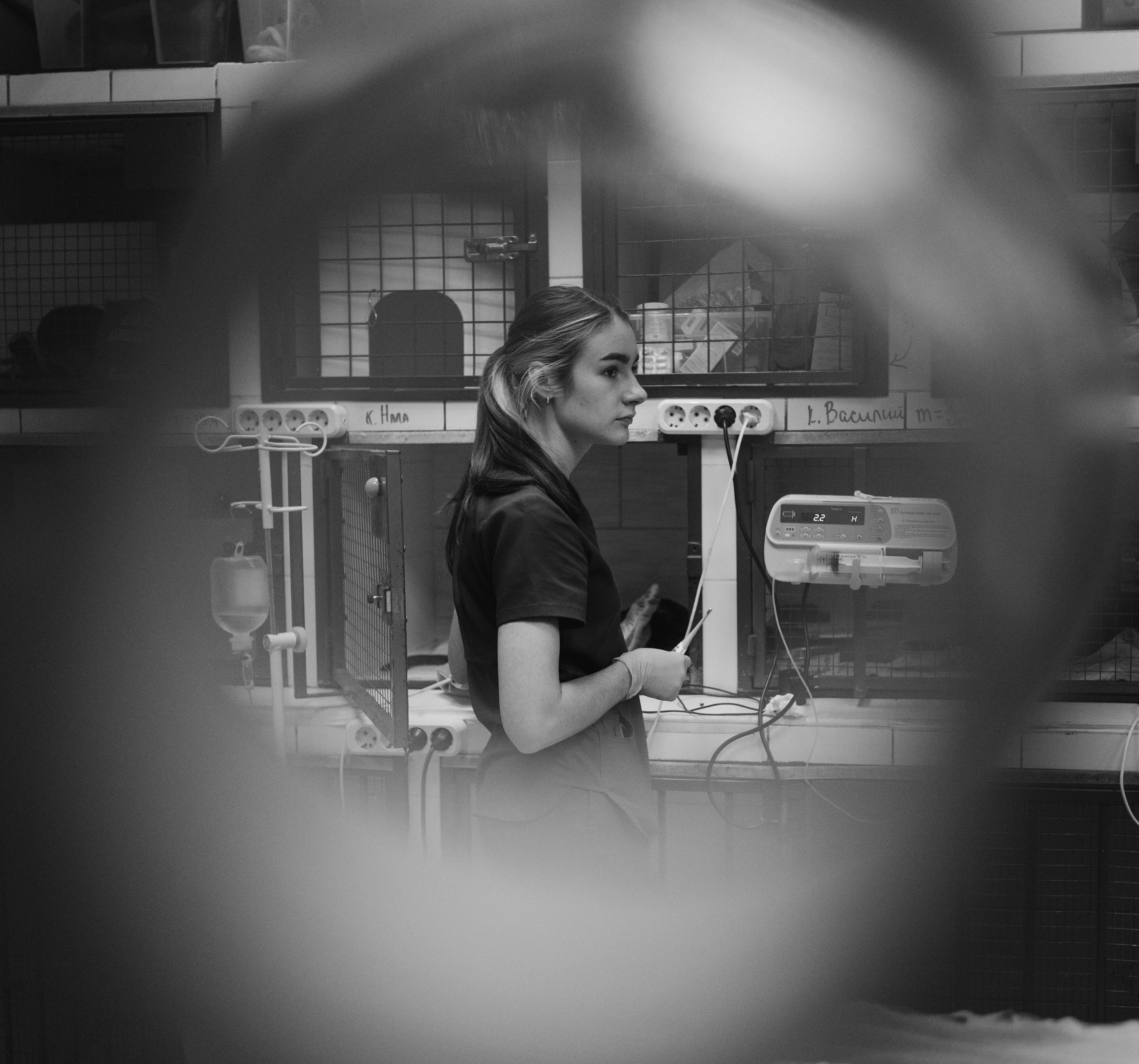 VetLife. Татьяна Афонина | Фотограф