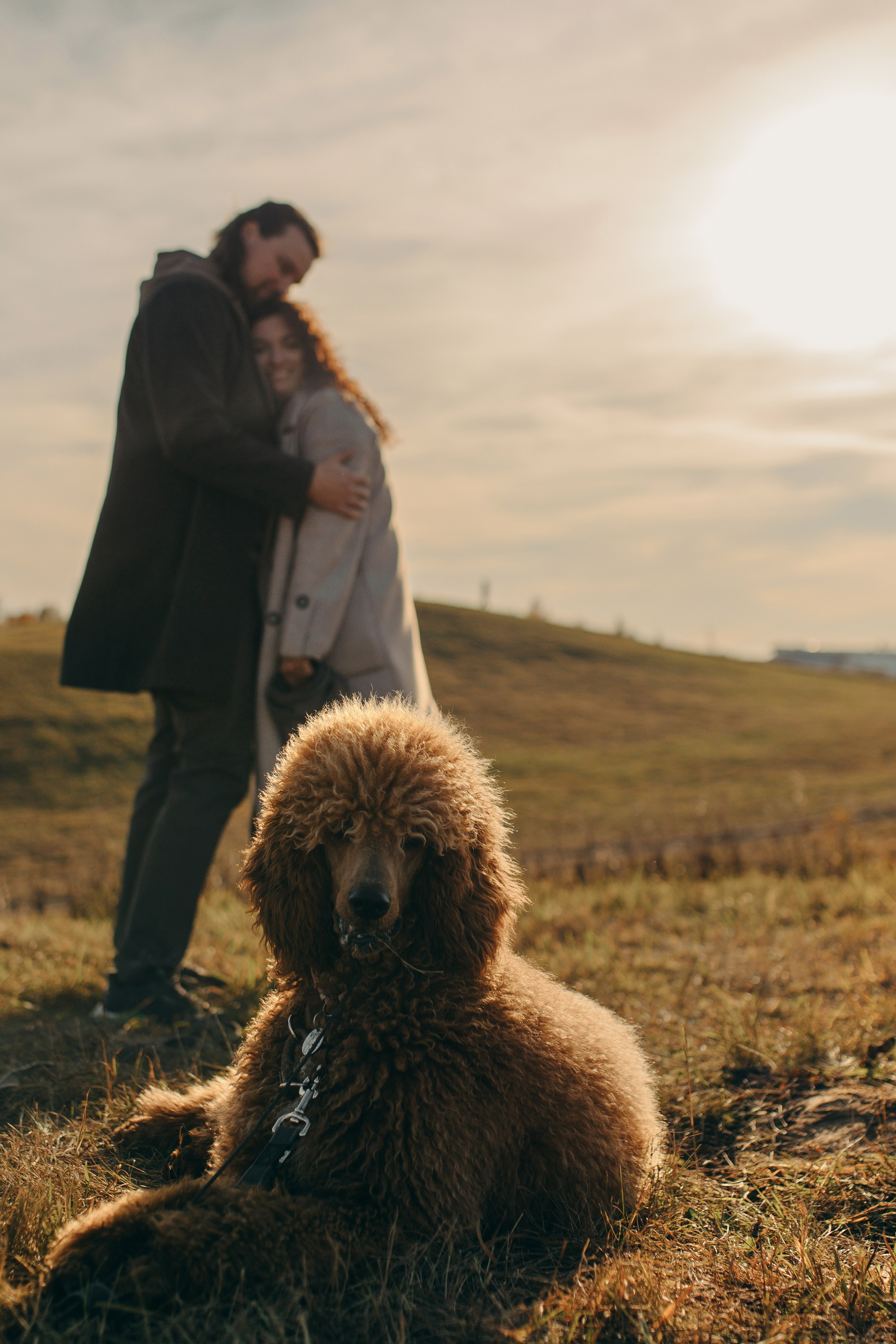 Наши пушистые дети. Главная