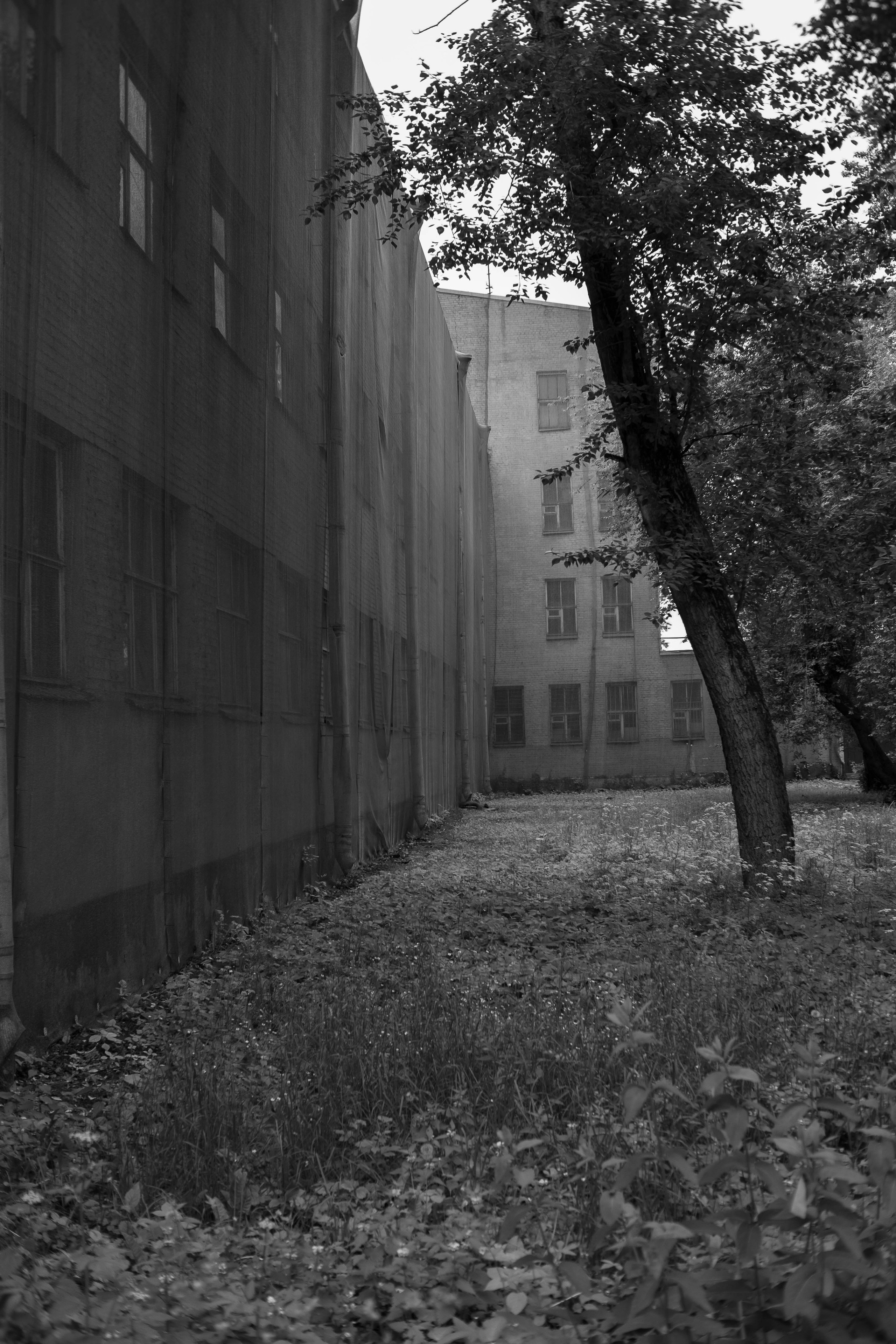 Под Кожей (2021-2022). Главная