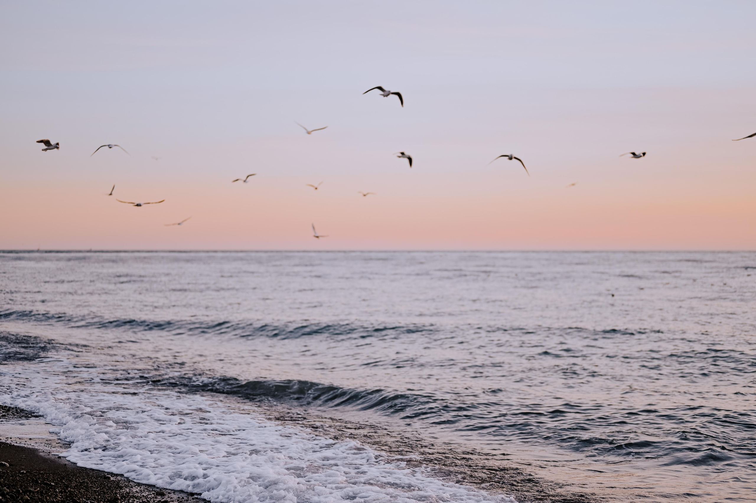 Съемка девушки в Москве. Фотограф Сочи Кисматова Анастасия