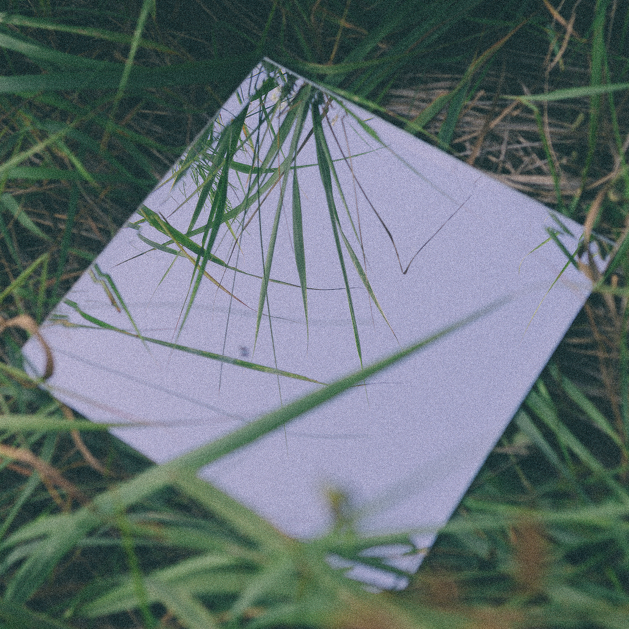 Полянка. Портретный фотограф Илья Лучинин город Ижевск