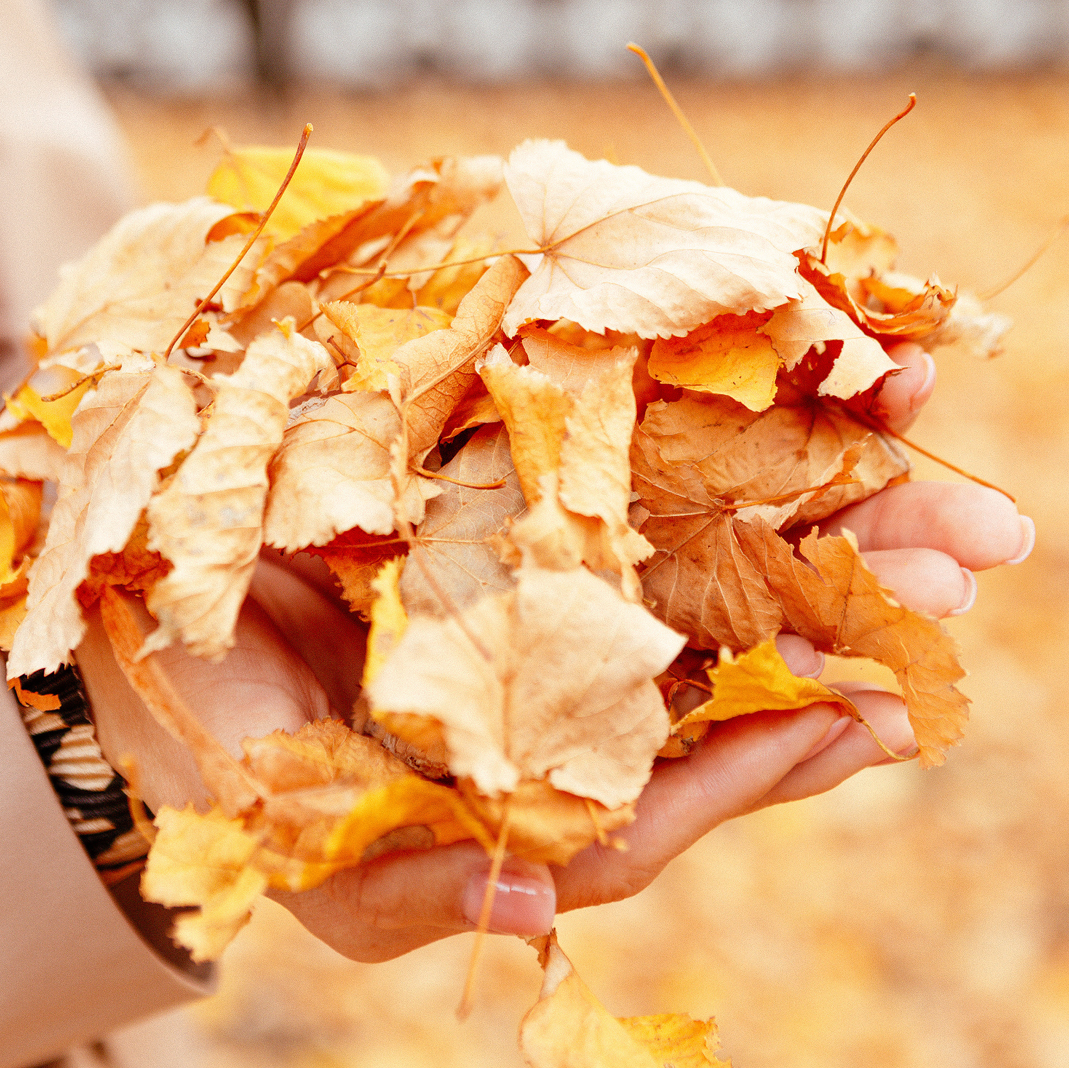 Осенний парк. Портретный фотограф Илья Лучинин город Ижевск