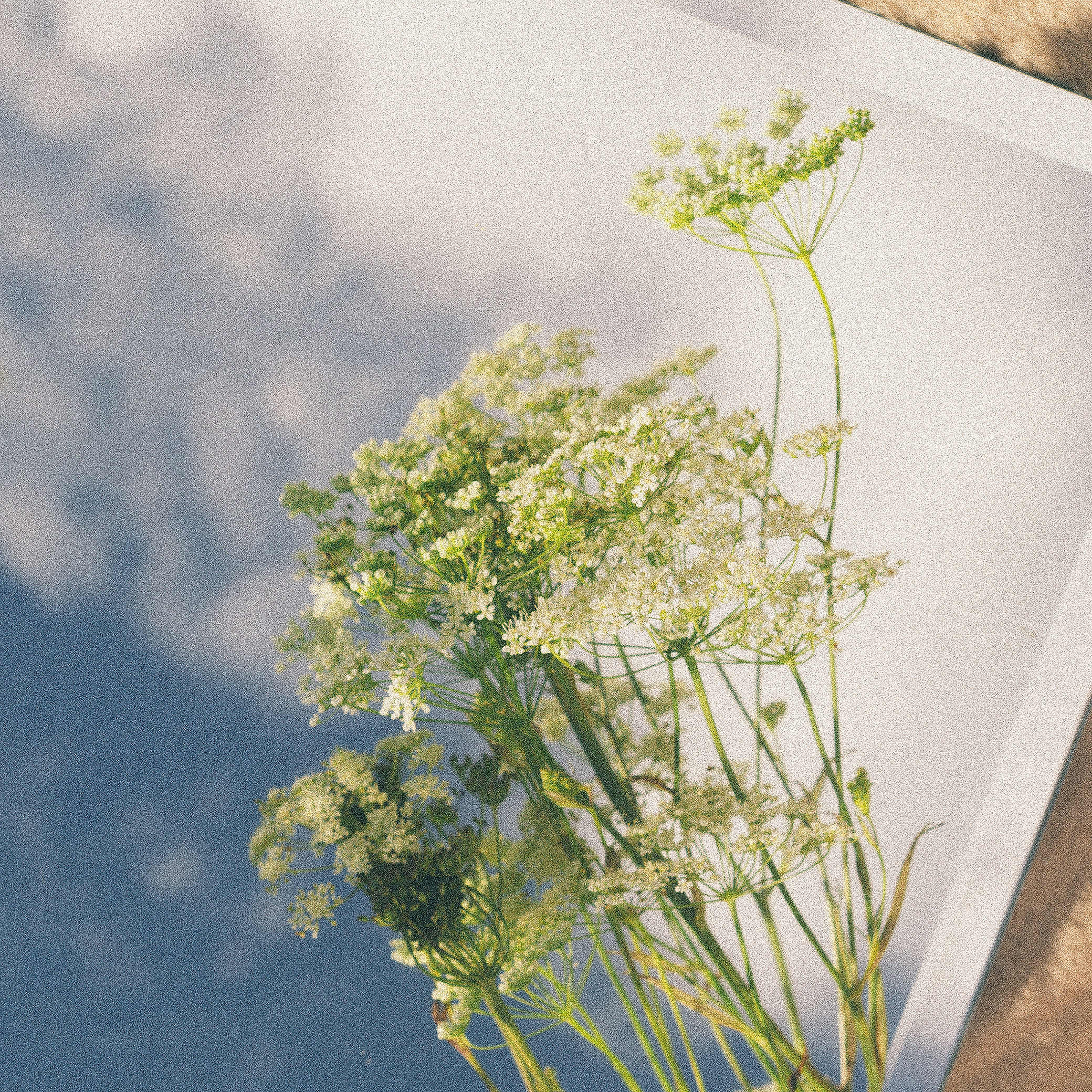 Полянка. Портретный фотограф Илья Лучинин город Ижевск