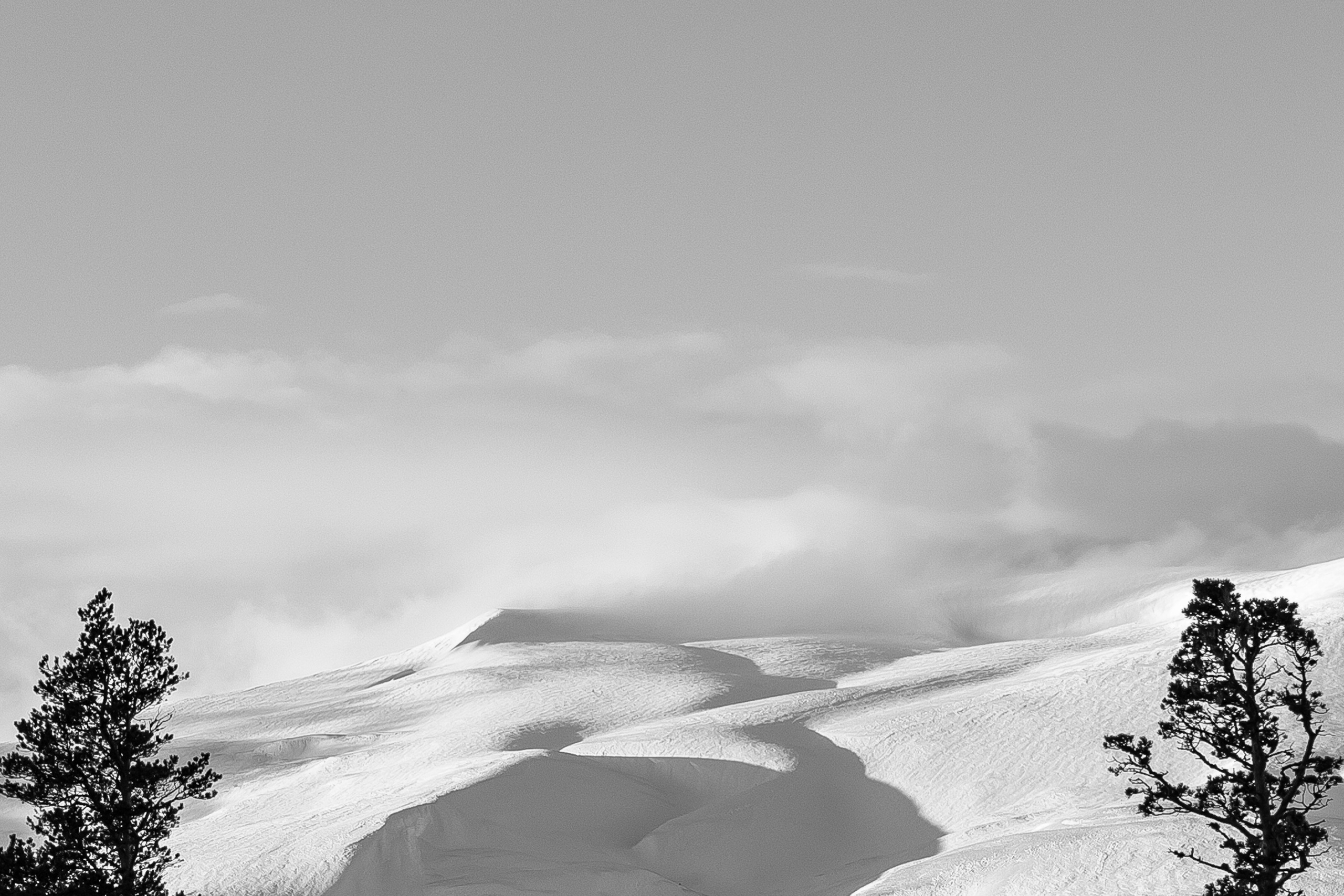 Адыгея. Лаго-Наки 27.01.24. Фотограф katya_vkadre Таганрог