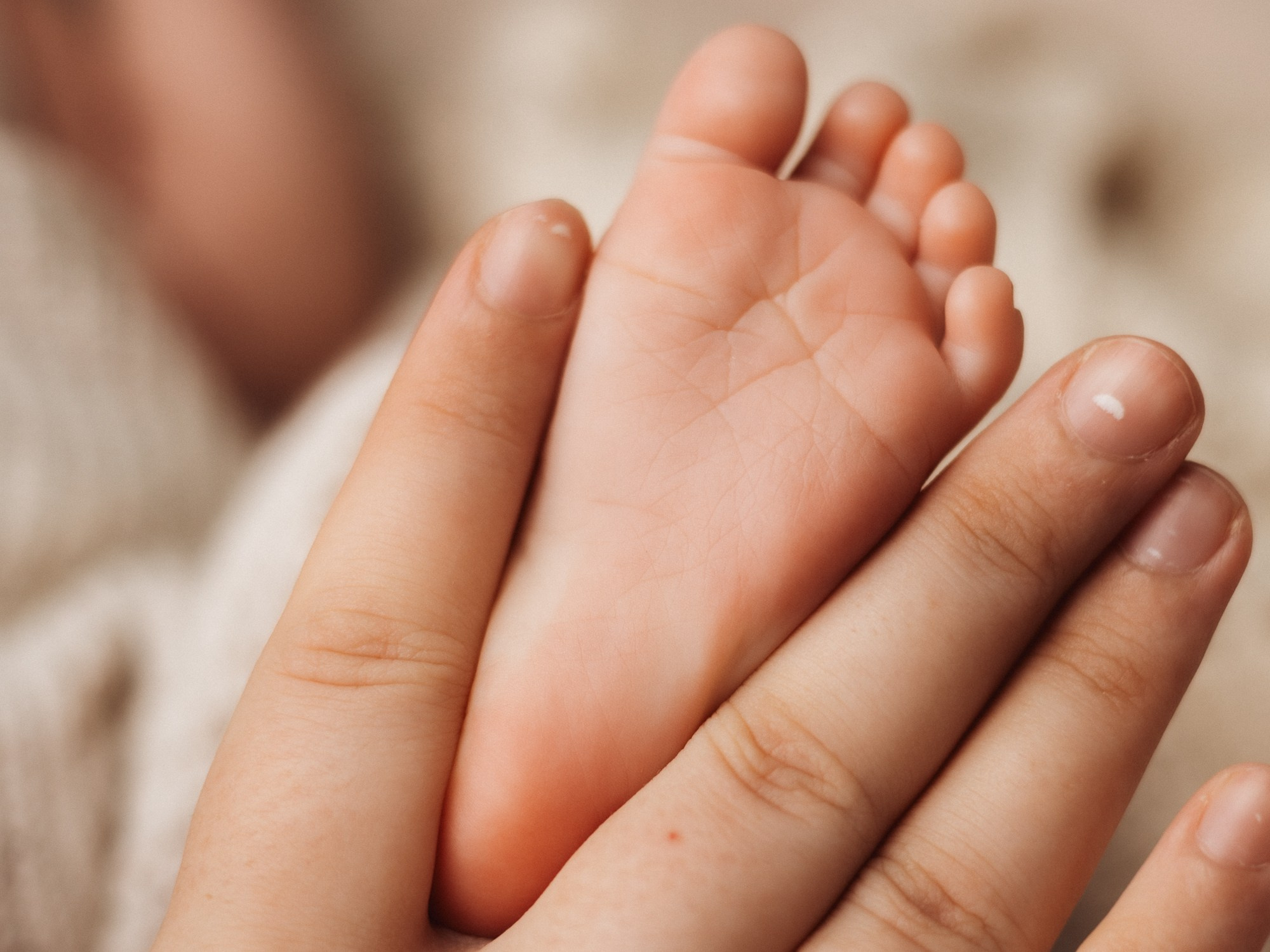 Newborn в стиле Life. Семейный фотограф в г. Нальчик|Прохладный