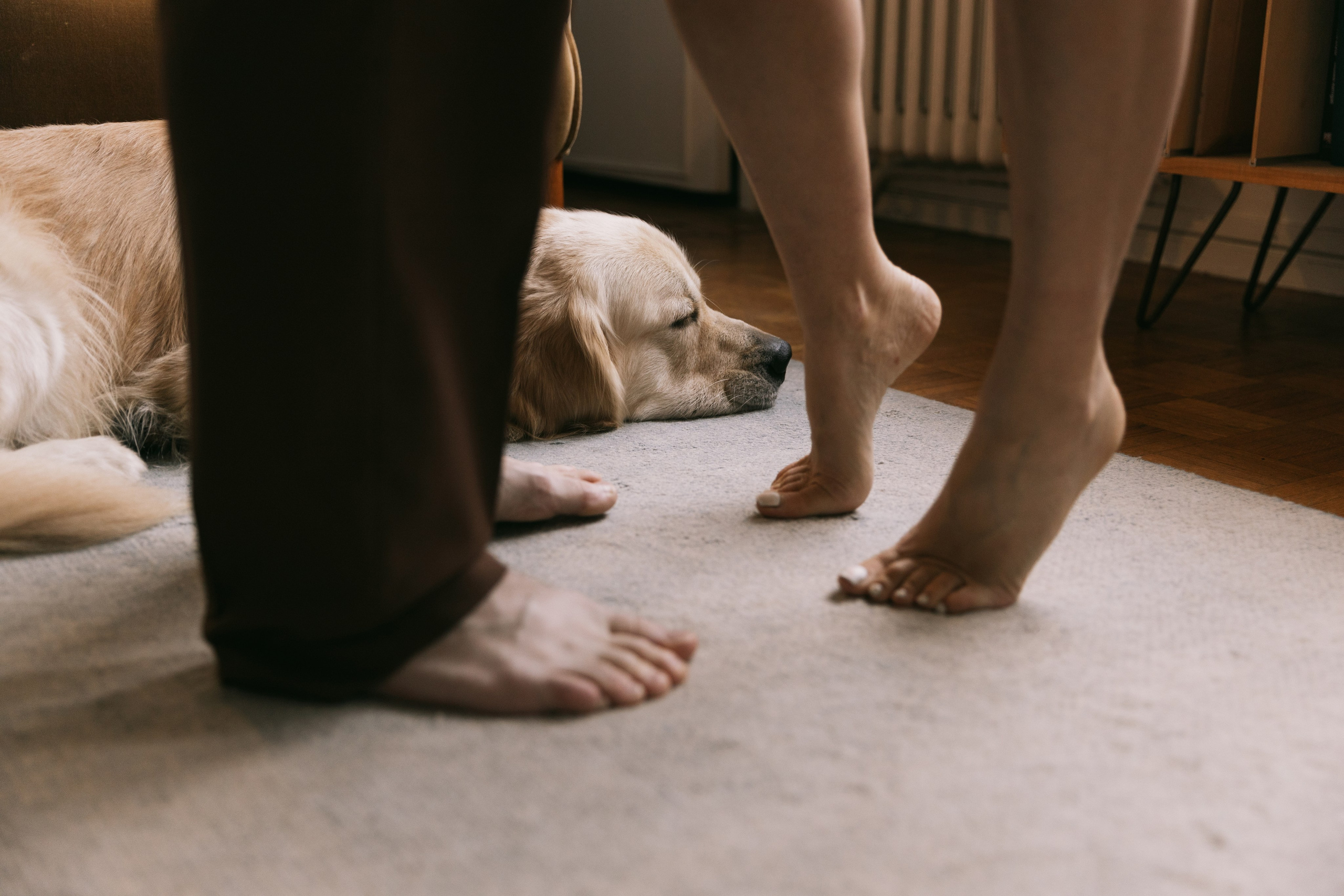 C’est entre nous. Photographe à Paris