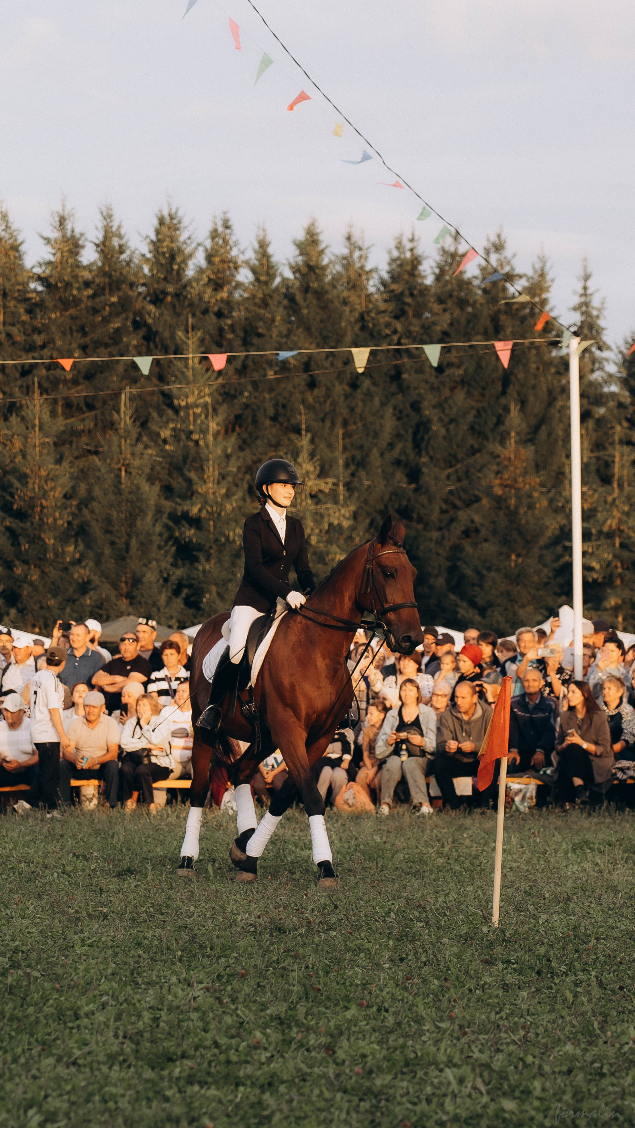 День Коня. Алиса Никитцова | Фотограф в Казани