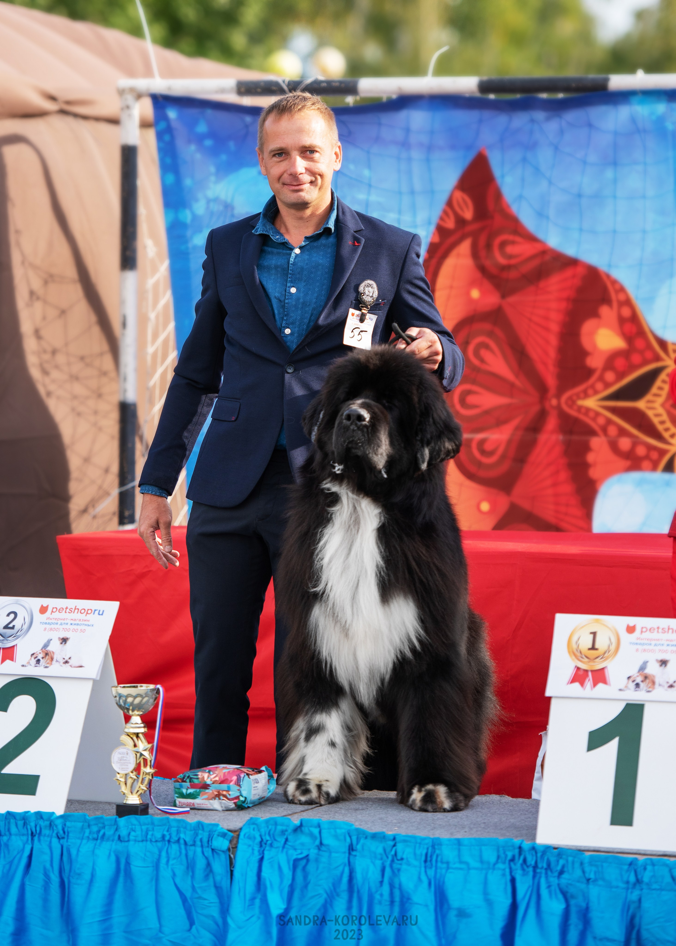 Выставка собак Тюмень 02.09.2023. Дог-фотограф в Тюмени Александра Королева