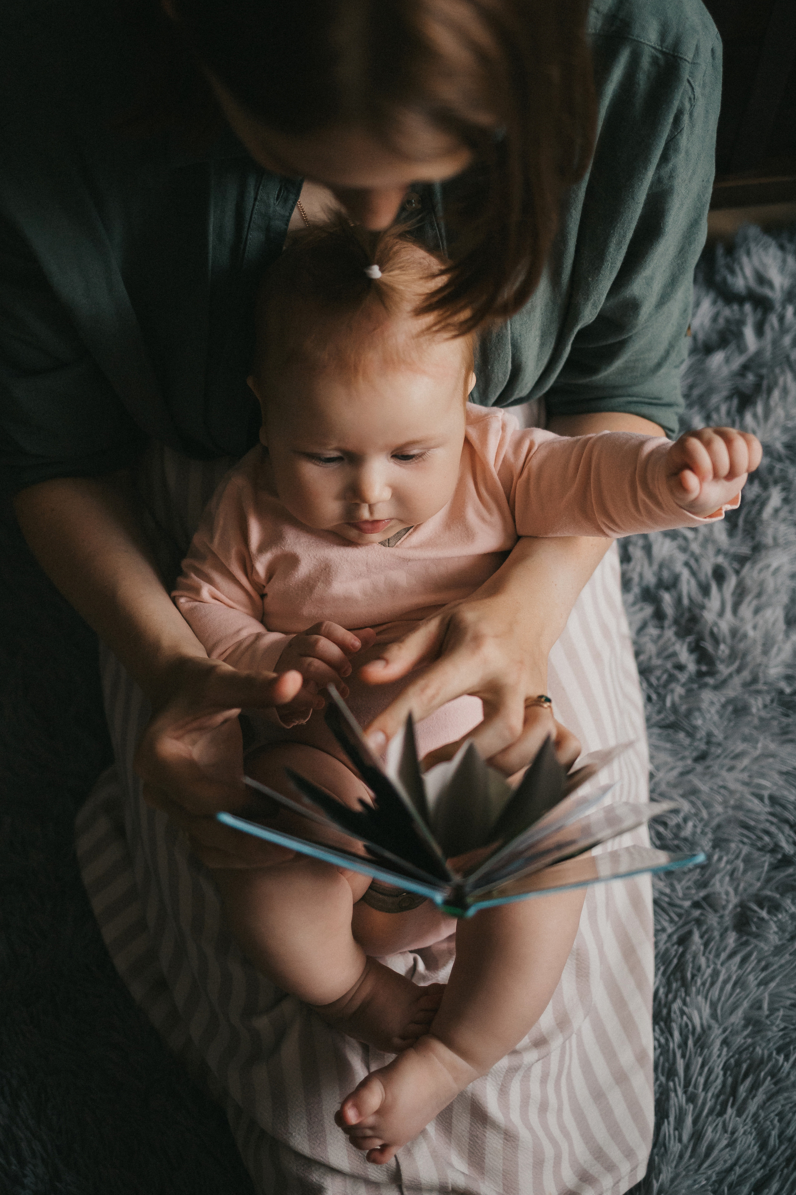 Лисички. Фотограф Нижний Новгород