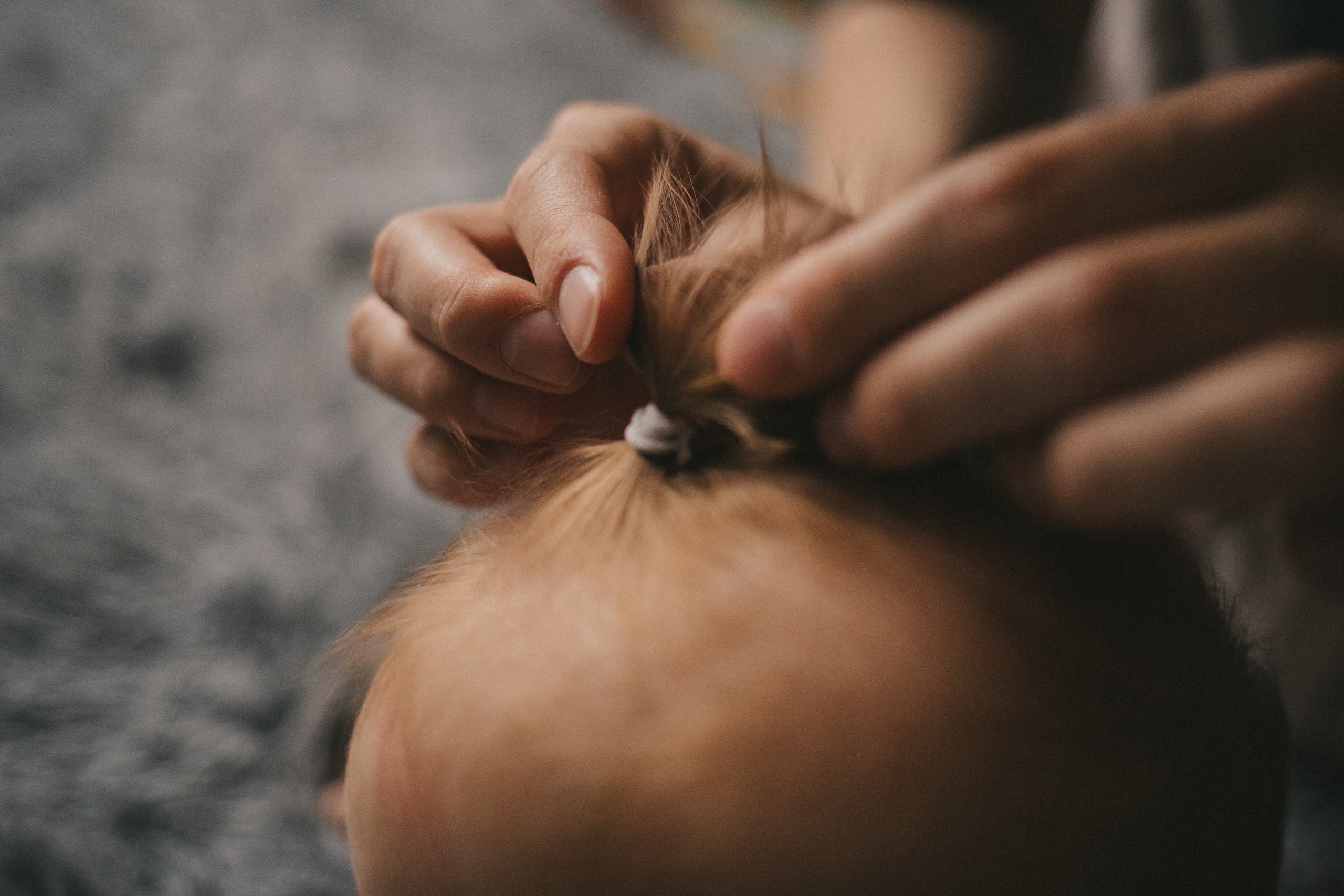 Лисички. Фотограф Нижний Новгород