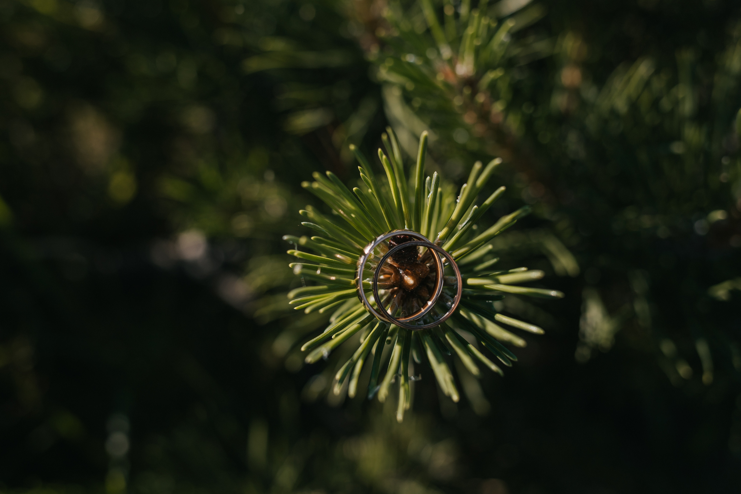 Артём и Ксюша. Фотограф Нижний Новгород