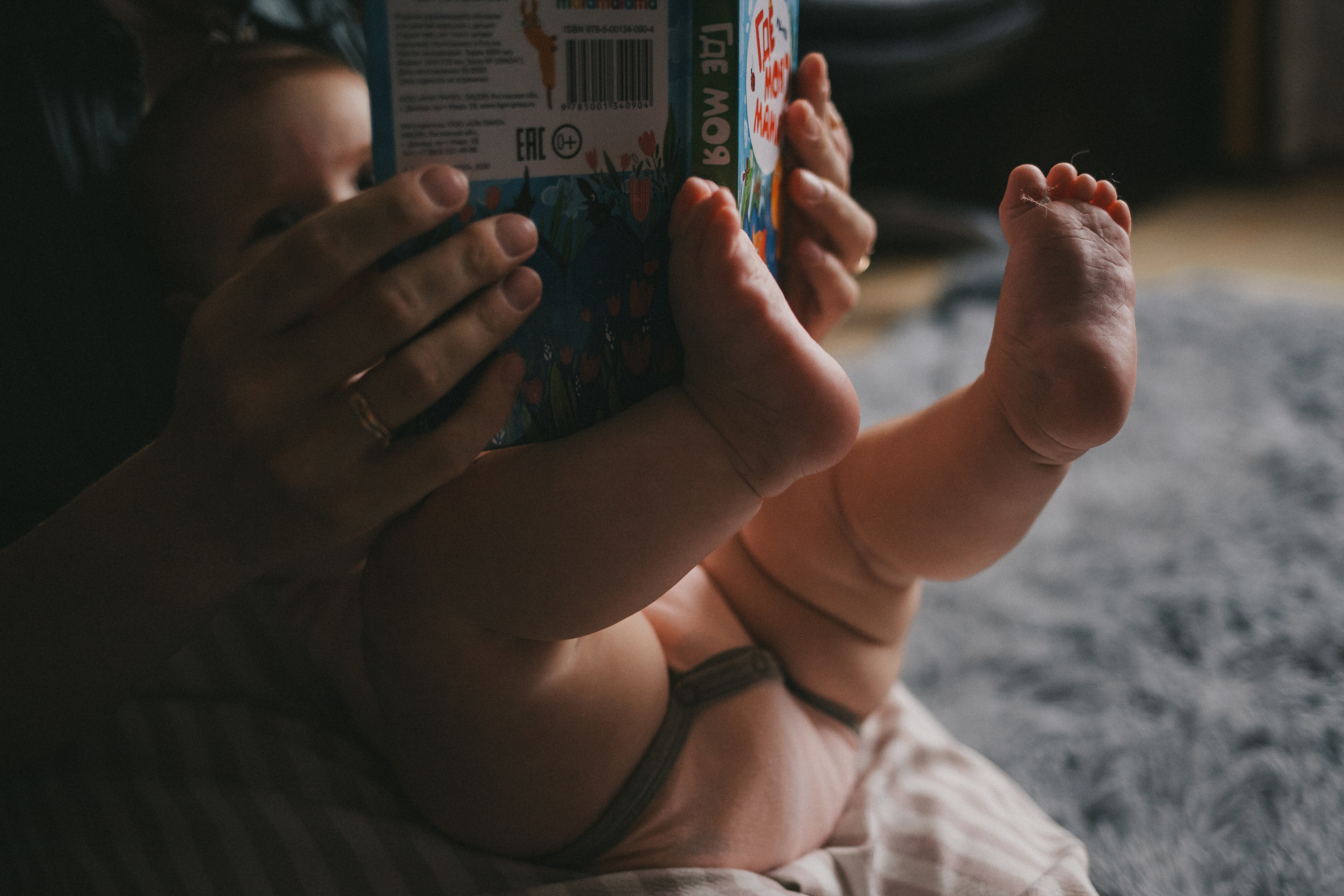 Лисички. Фотограф Нижний Новгород
