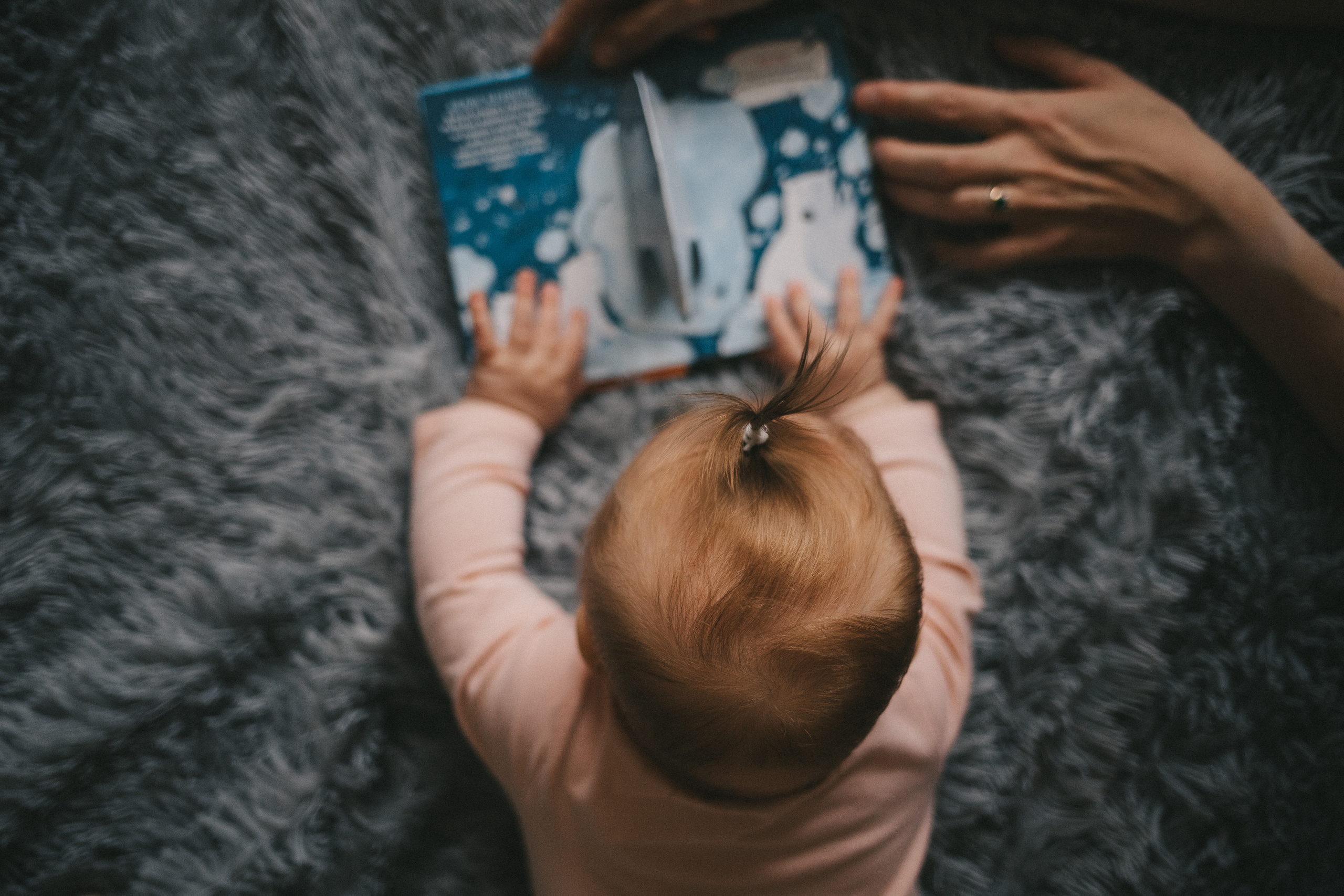 Лисички. Фотограф Нижний Новгород