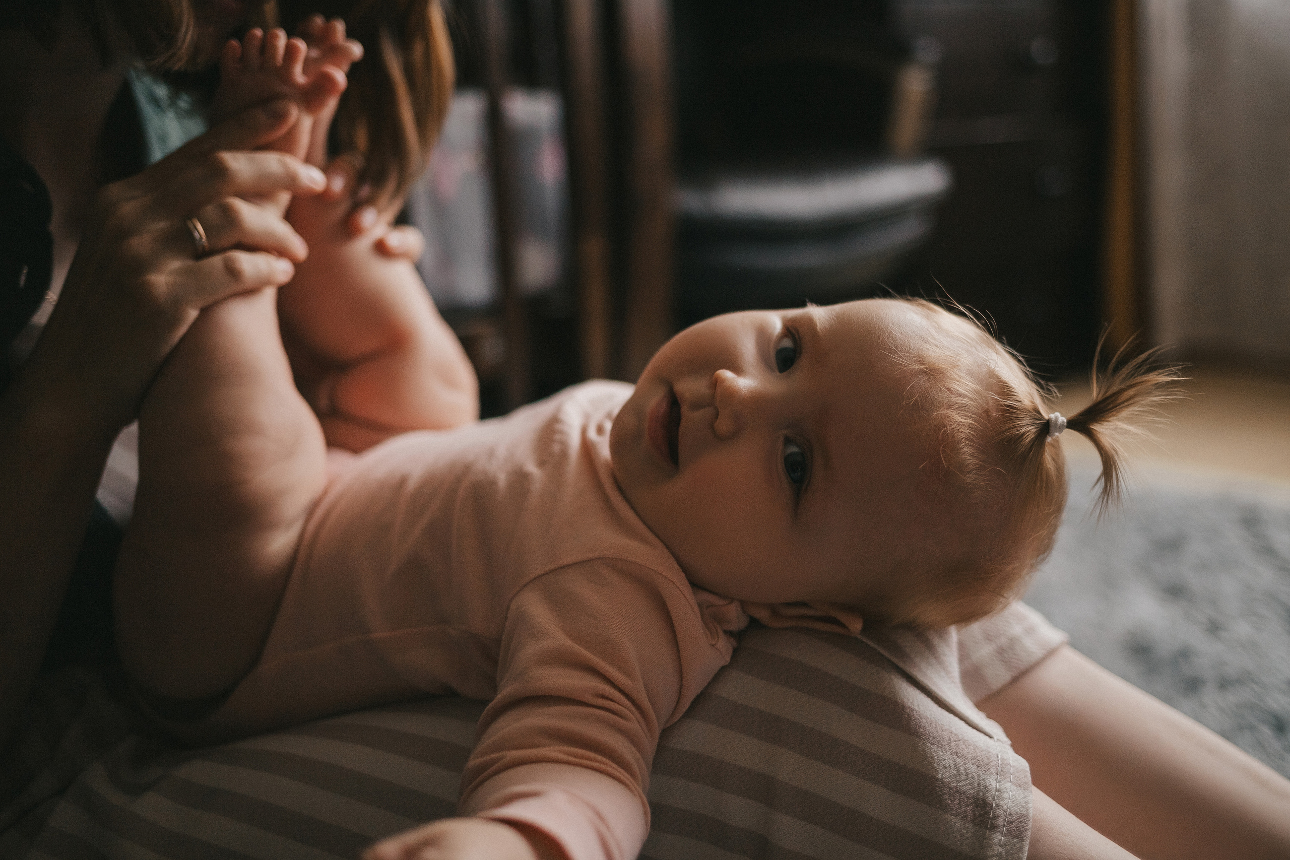 Лисички. Фотограф Нижний Новгород