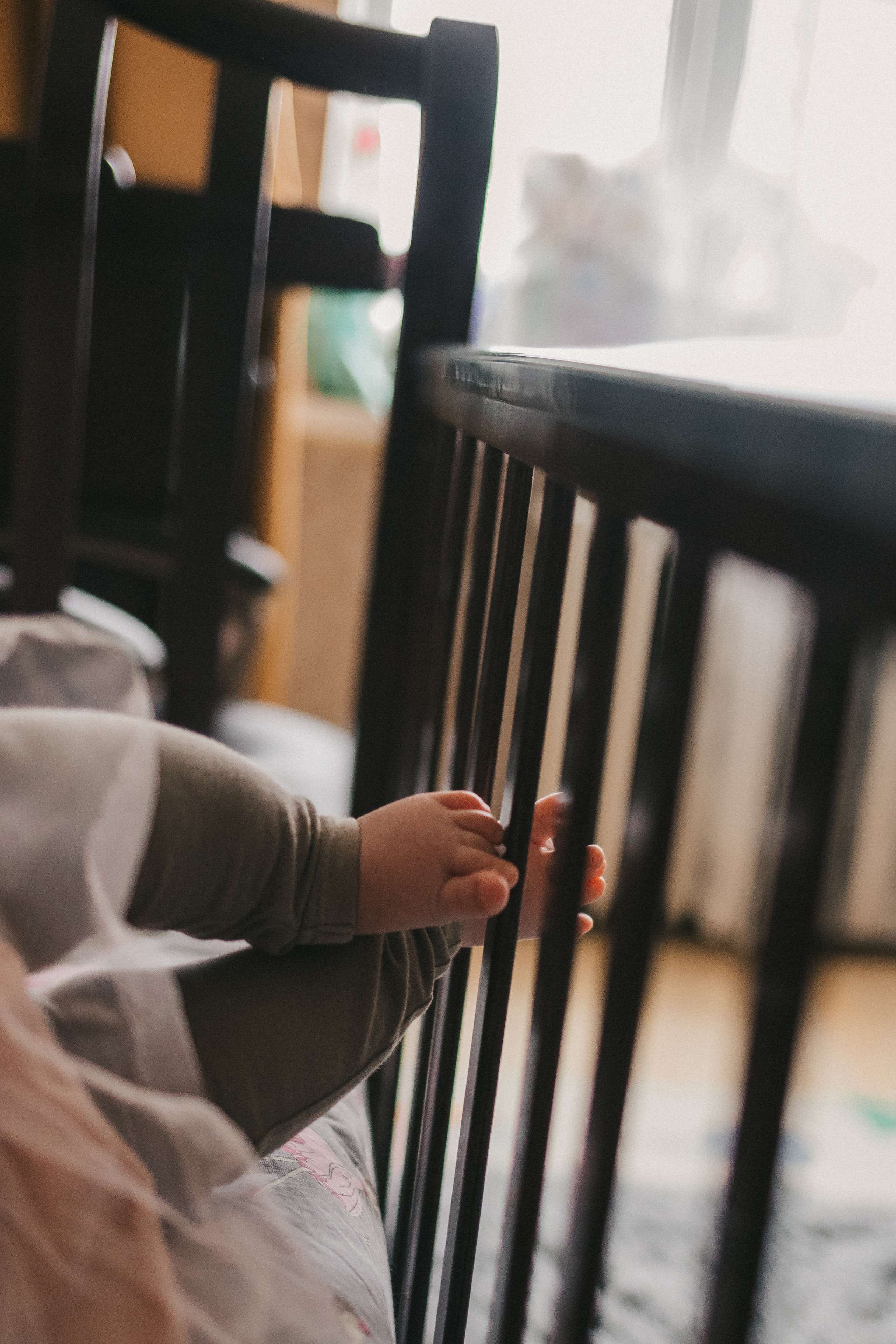 Лисички. Фотограф Нижний Новгород