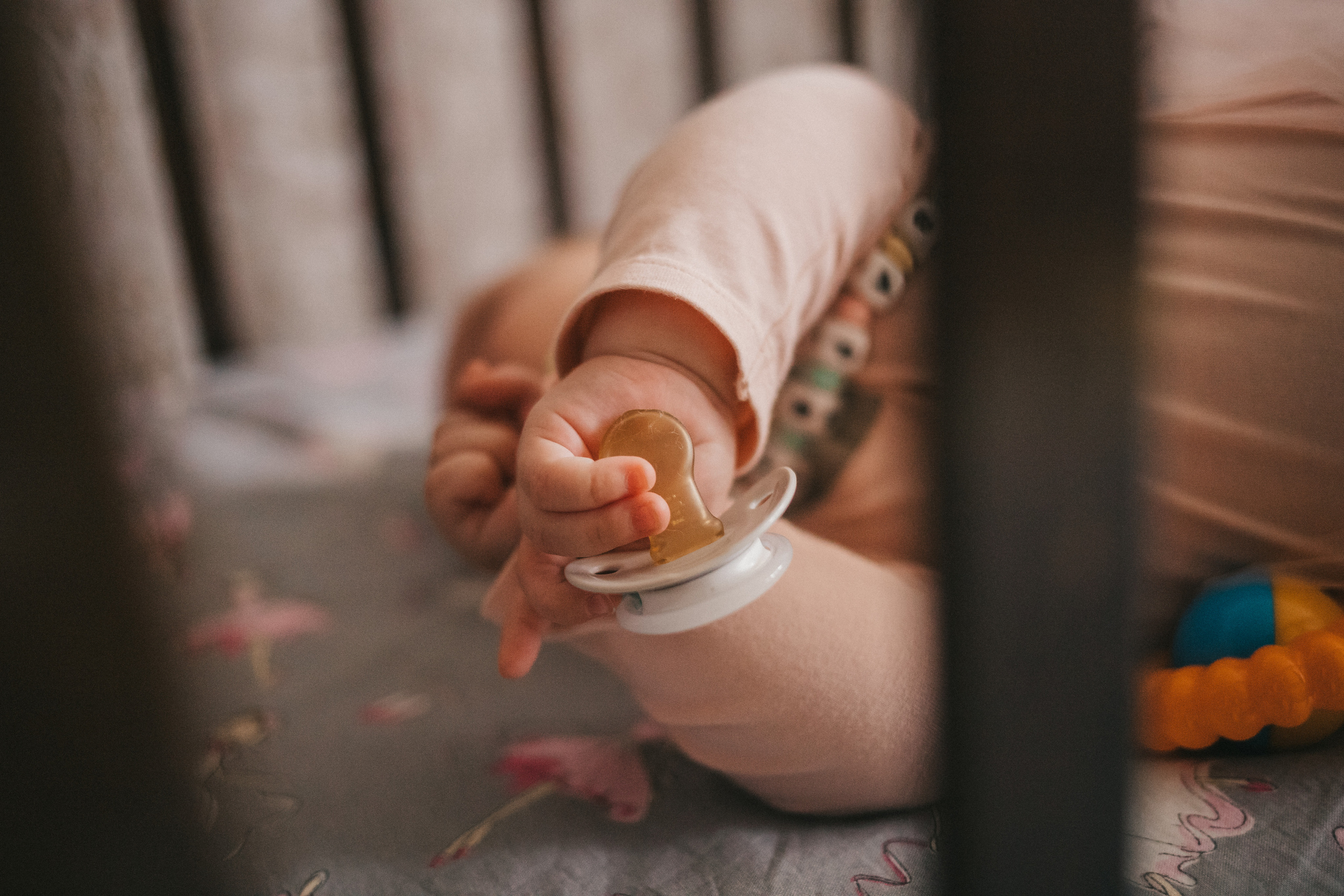 Лисички. Фотограф Нижний Новгород