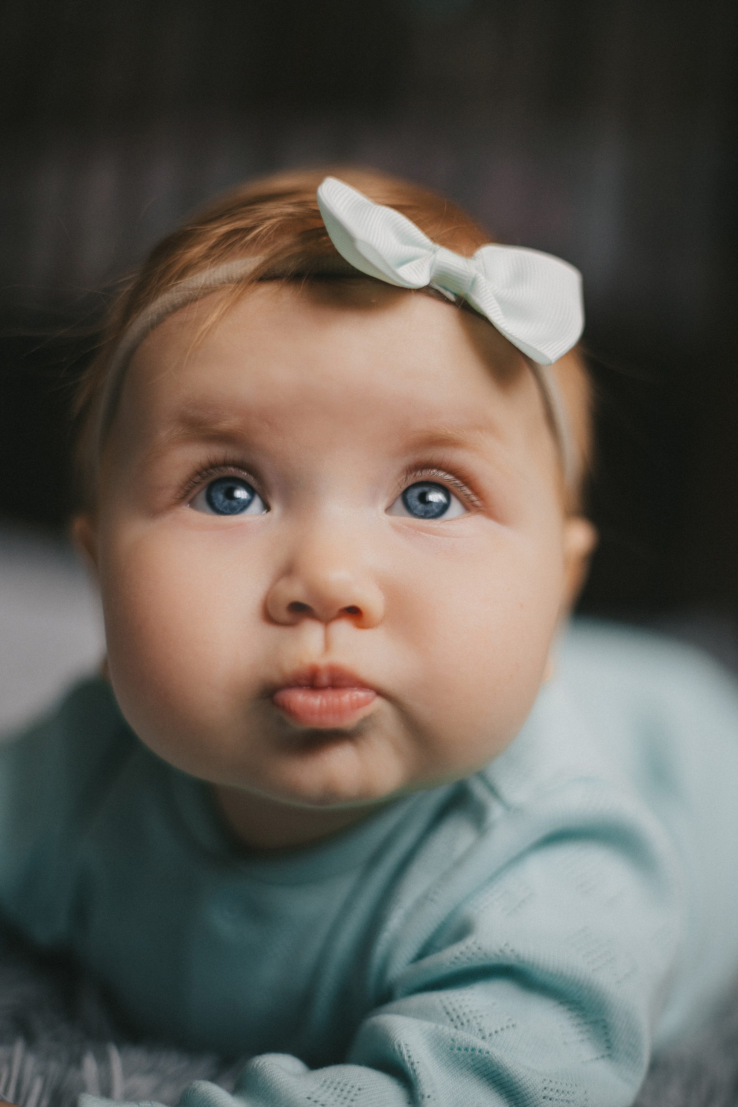 Лисички. Фотограф Нижний Новгород