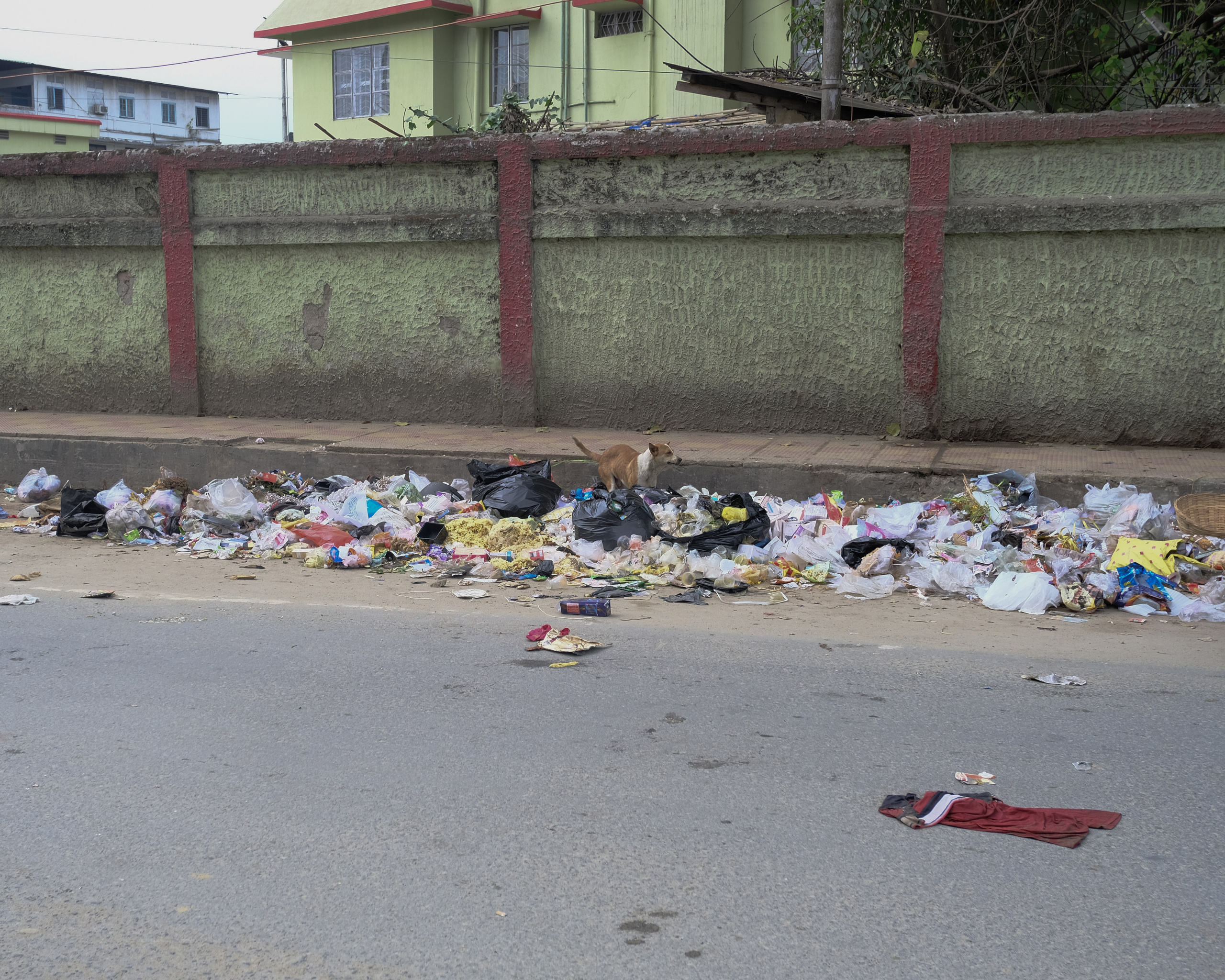 Праздник Холи. Фотографии из путешествий
