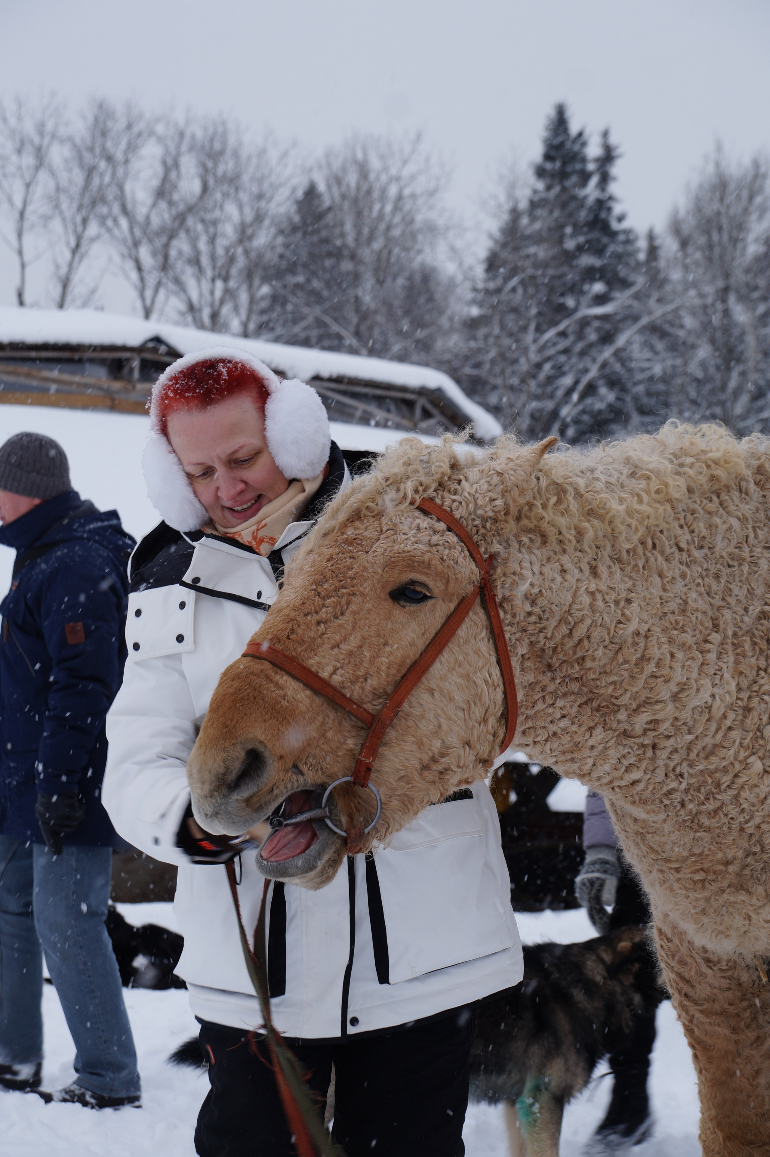 Лошадинг | 11.01.2026. Галерея Фантим