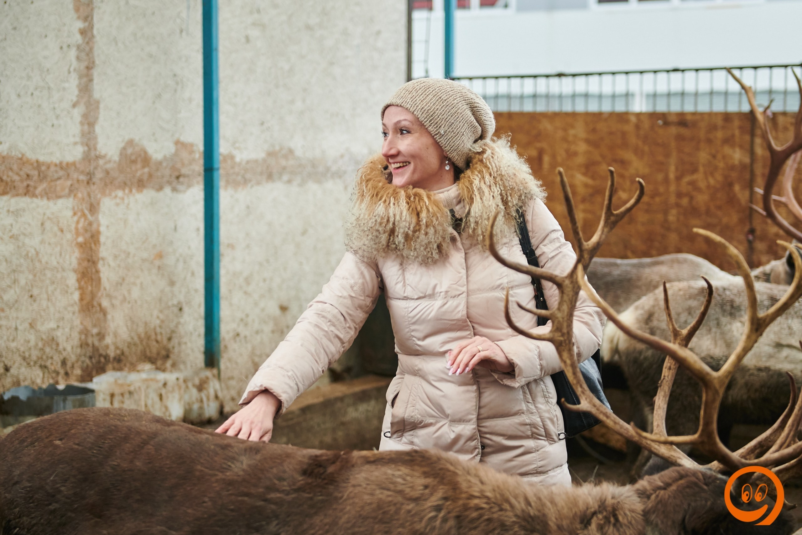 В гости к северным оленям | 18.01.2025. Галерея Фантим