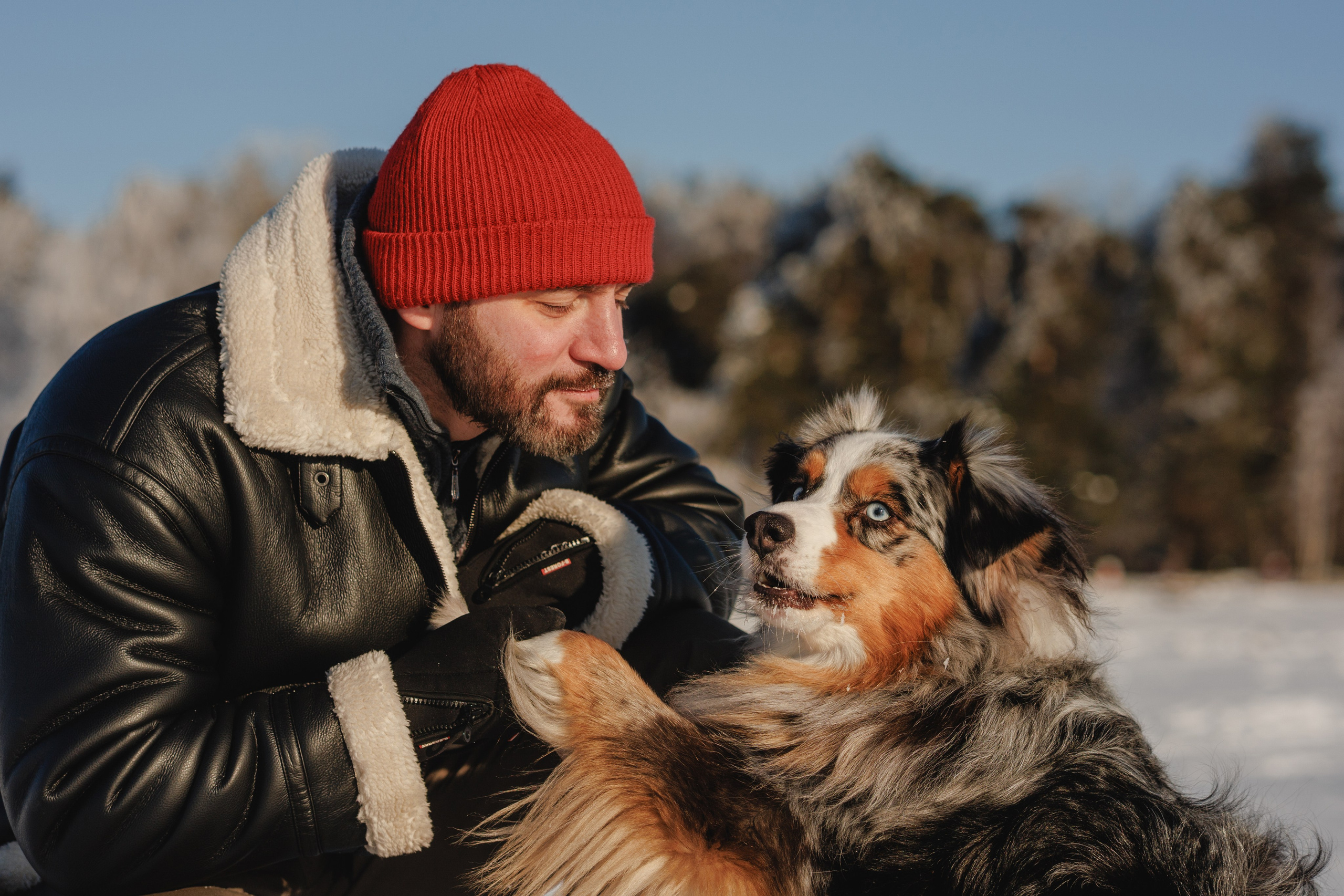 Константин и Локи. Фотограф в Санкт-Петербурге Алёна Губинская