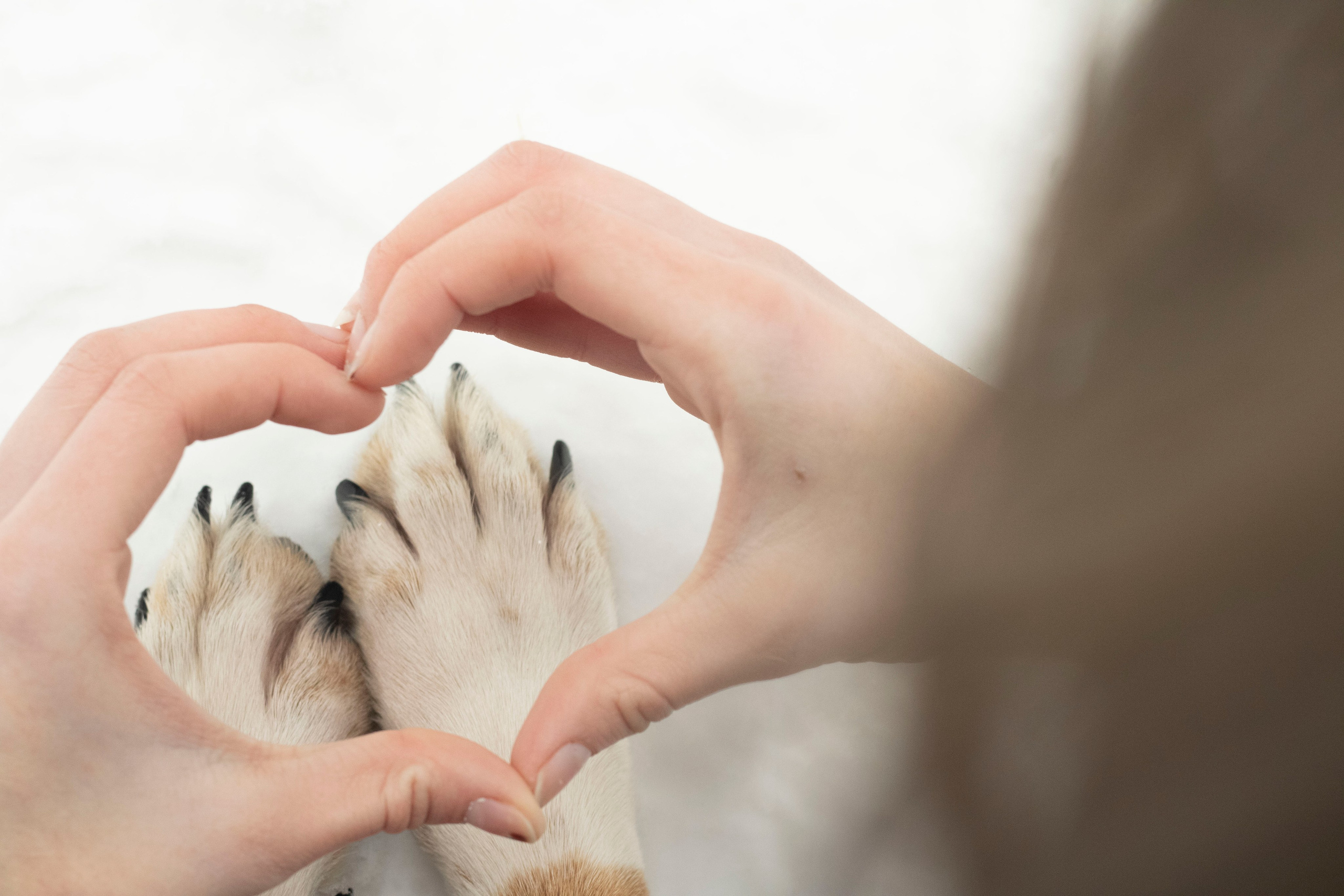 Даша, Кима, Лида и Амур. Катя Попова|ЛайфСтайл фотограф