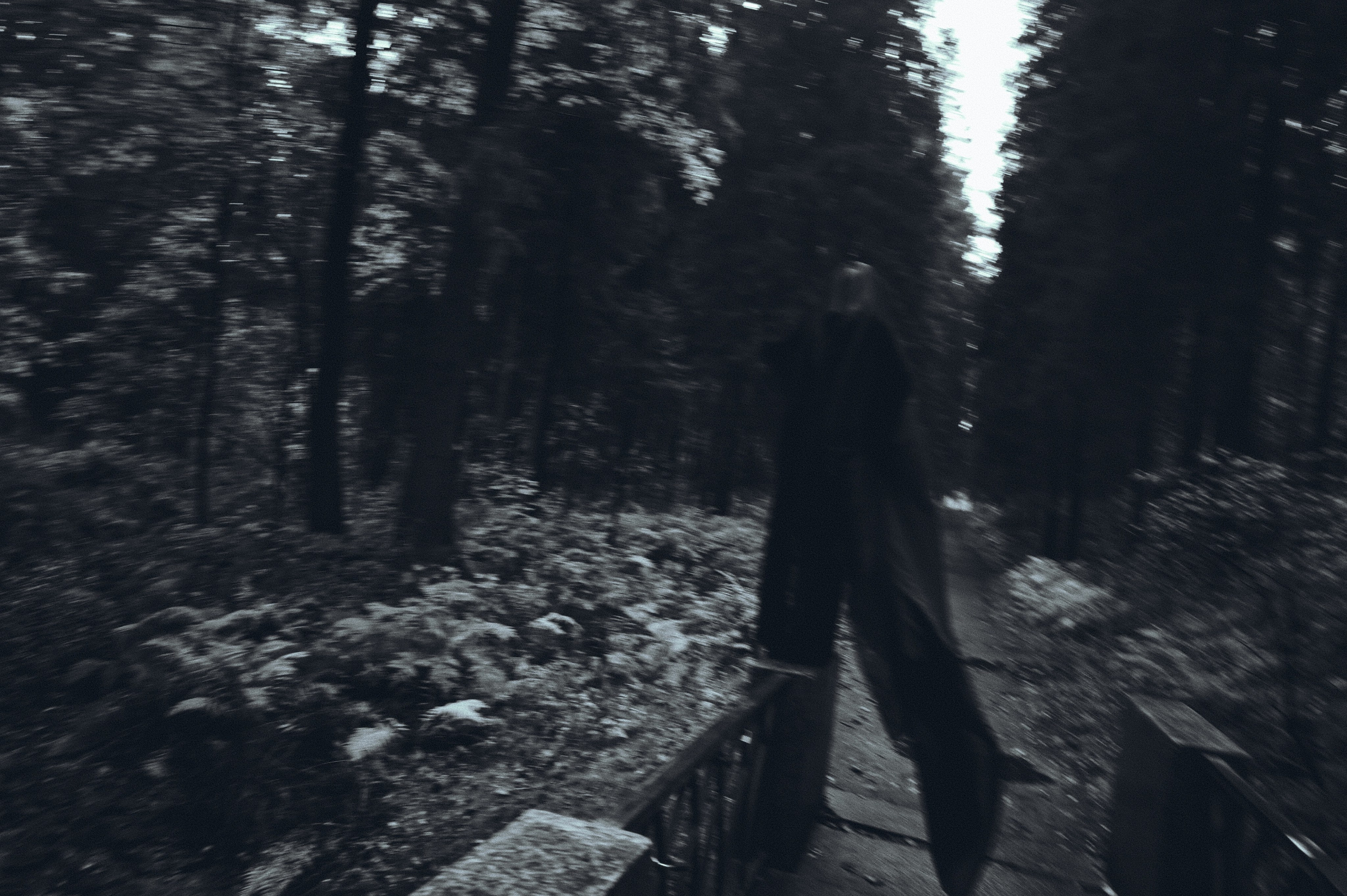 Вдохновление утренним туманом. Ваагн Малхасян | Фотограф | Санкт-Петербург. Создаю атмосферные кадры