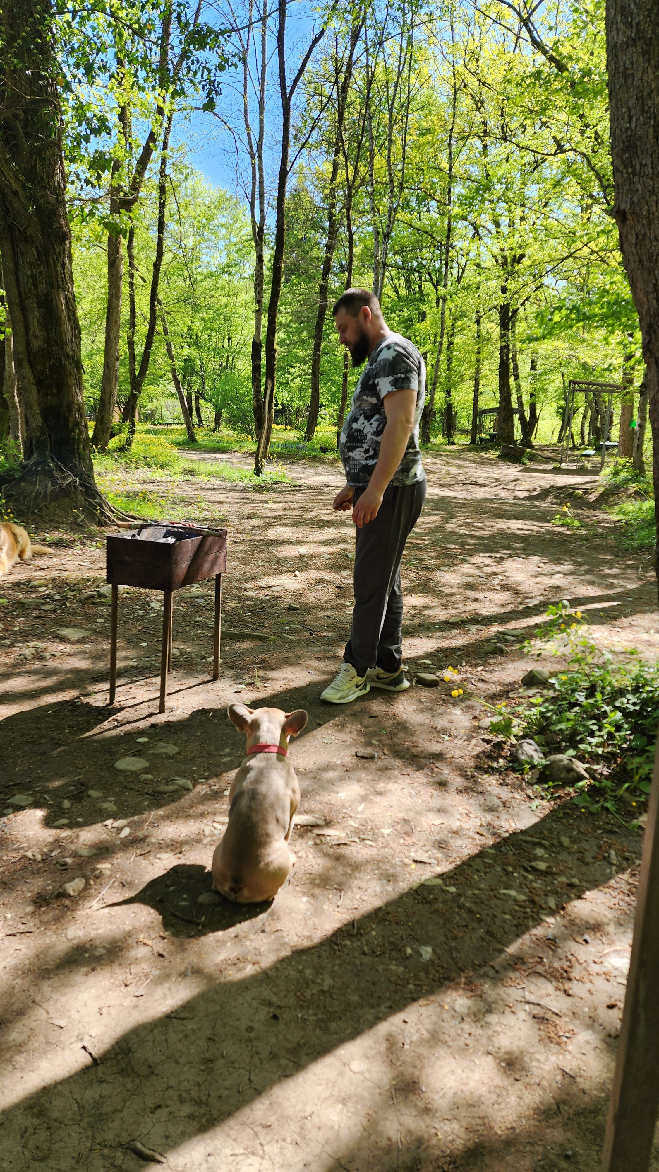 Горы 2025. Собор Отрасли