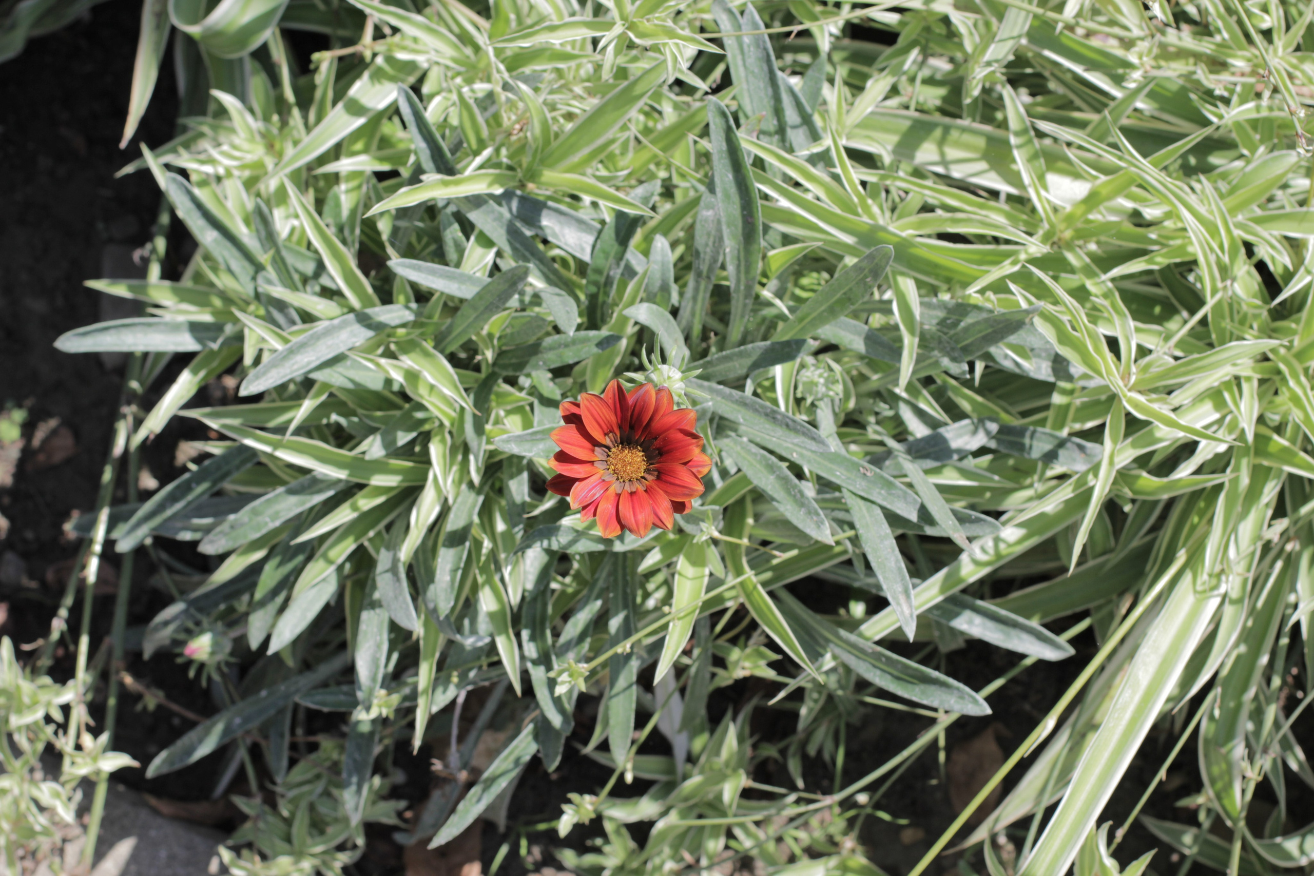 Горячий Ключ (2024-09-22). Собор Отрасли