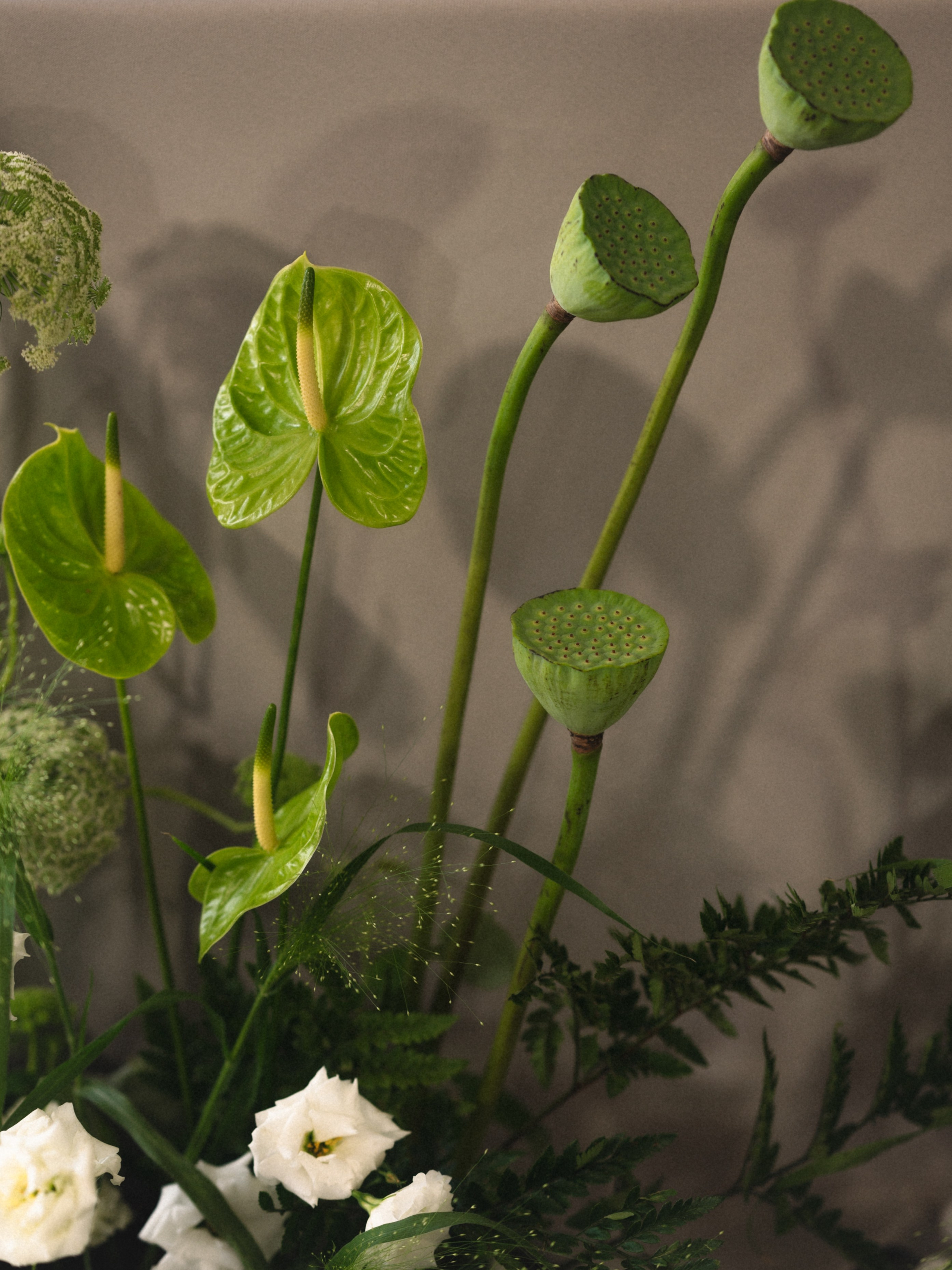 Мария и Никита. Бунгало в Москве.Аренда Бунгало в Мск