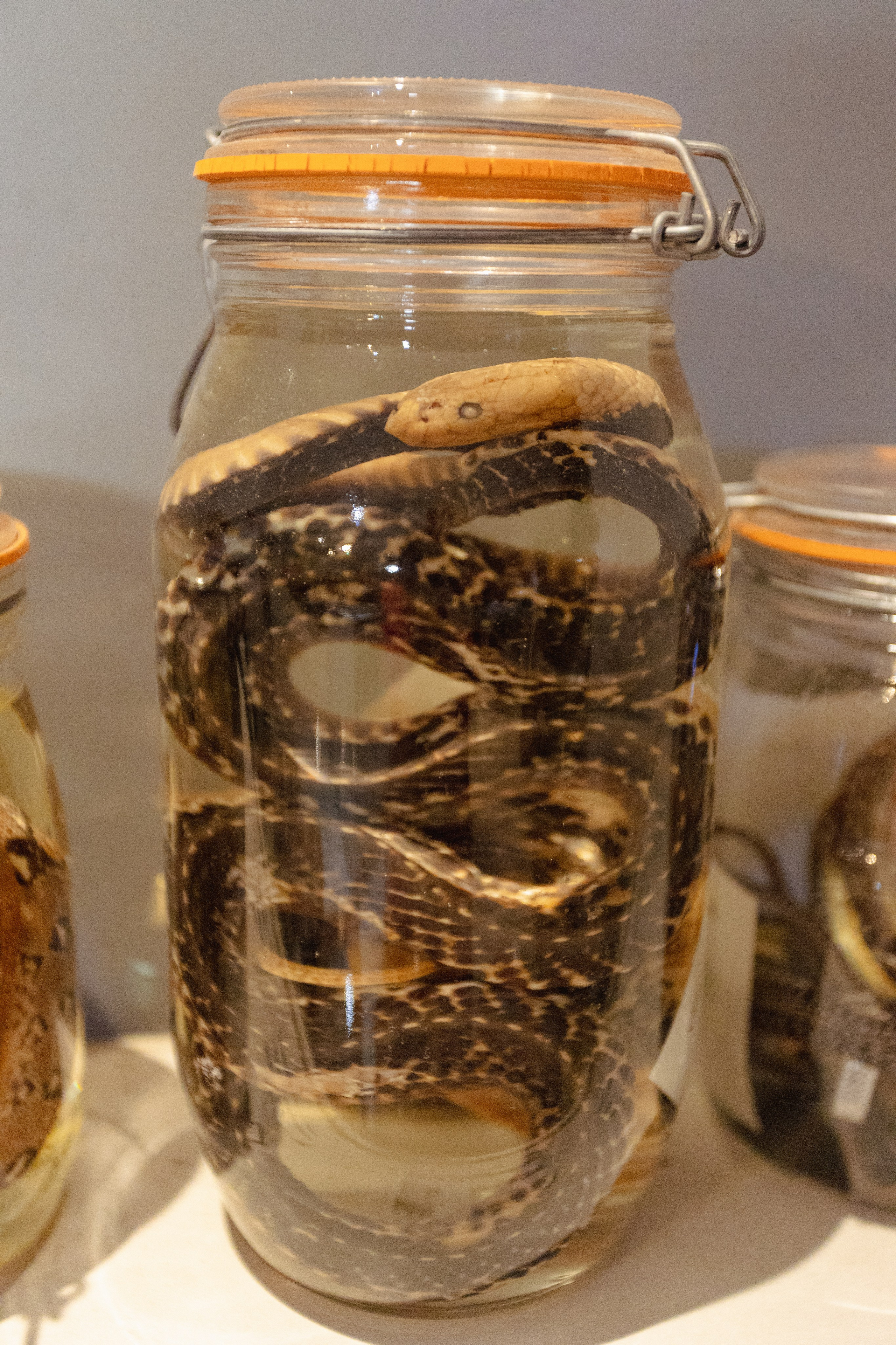 Bangkok Planetarium. Photographer Sonkina Tatiana (Tanya Ash)