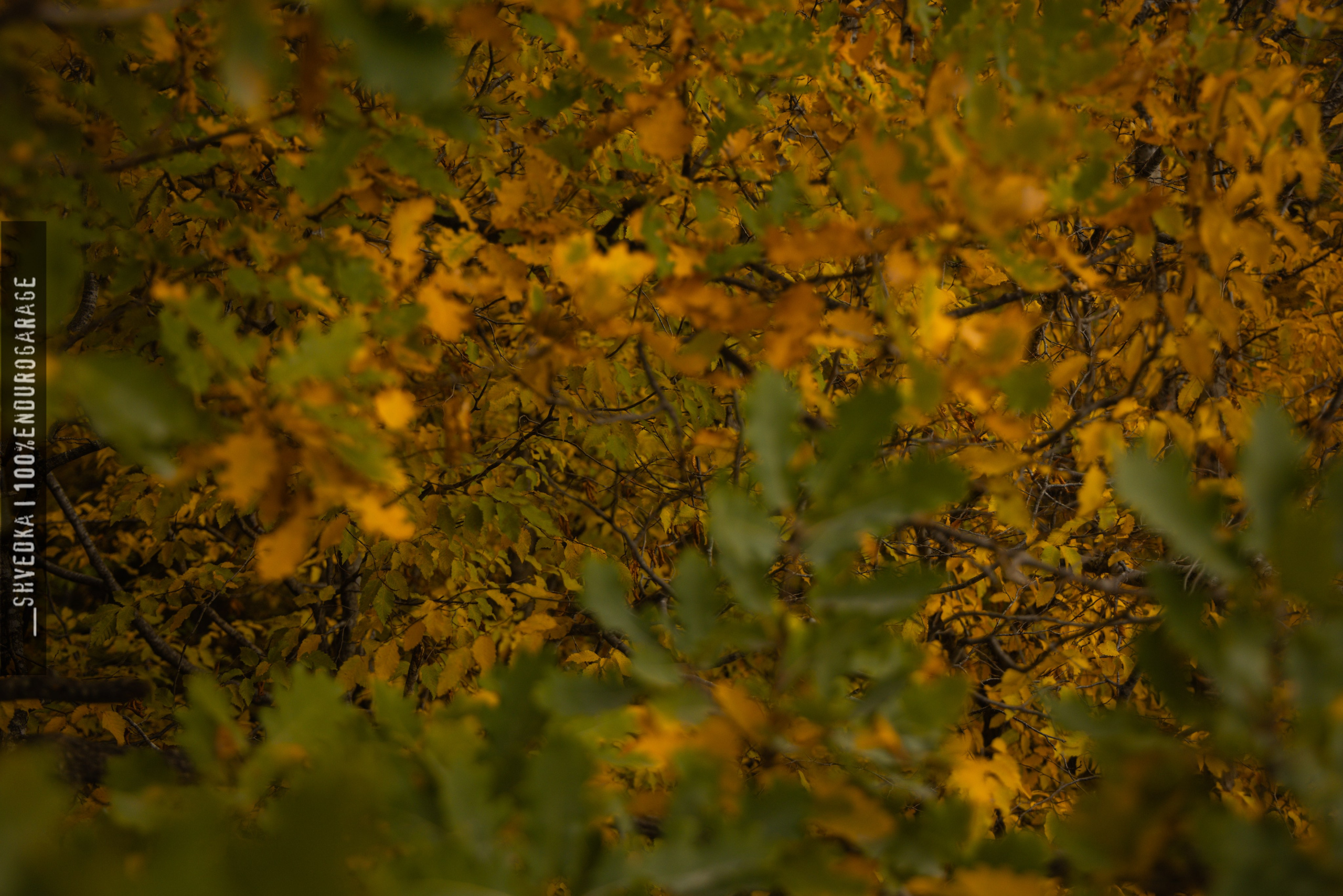 Гонка. Ваш экстрим фотограф Кудрева Яна