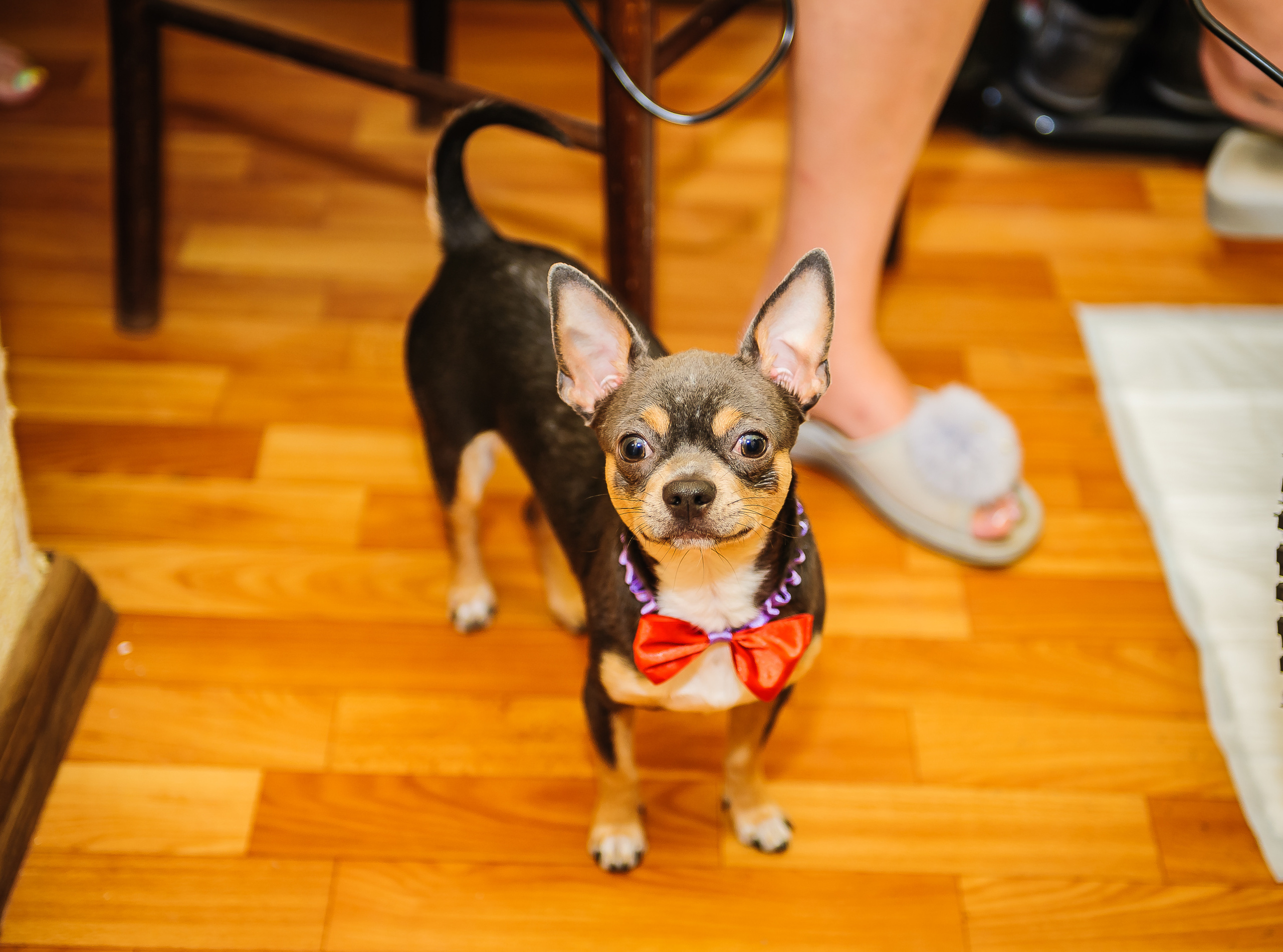 Дмитрий и Ольга. Свадебный и семейный фотограф в Дзержинске Екатерина Шулакова