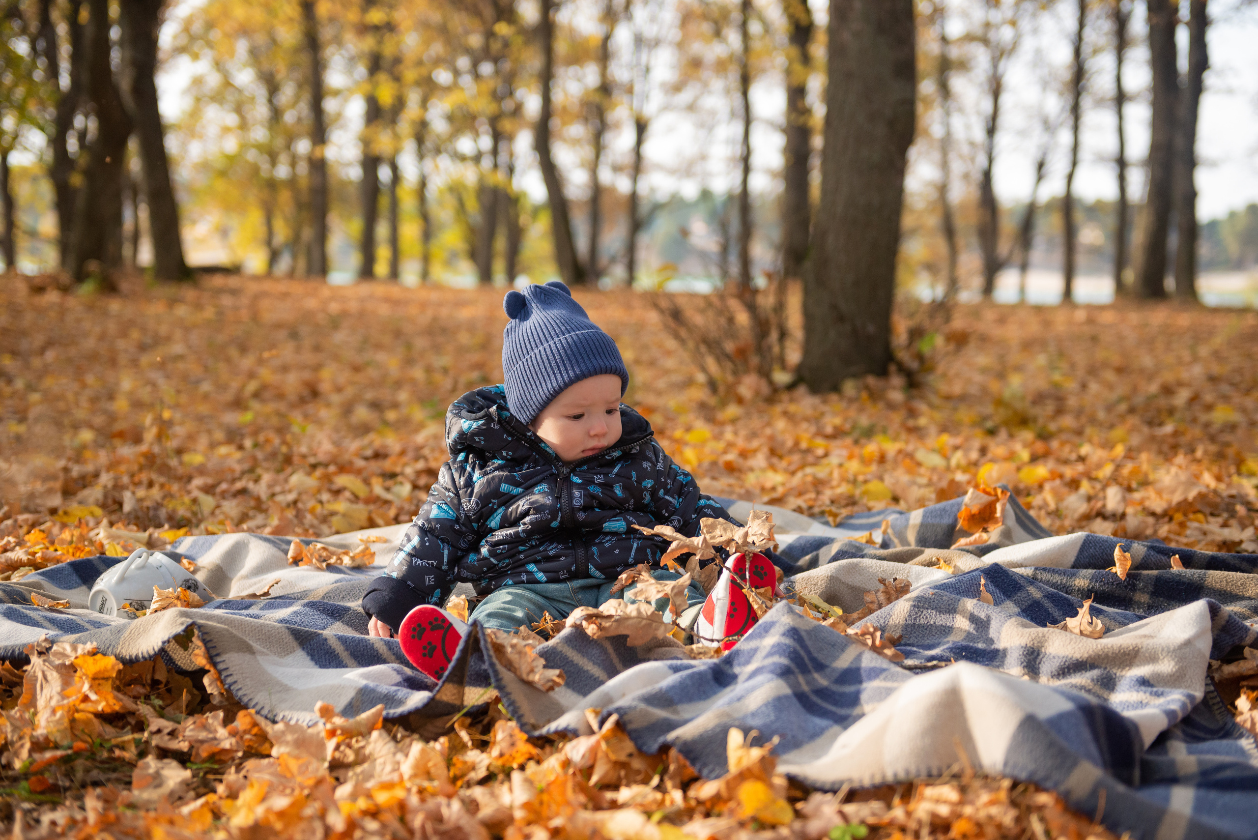 Золотая осень семьи Соболь. Свадебный и семейный фотограф в Дзержинске Екатерина Шулакова