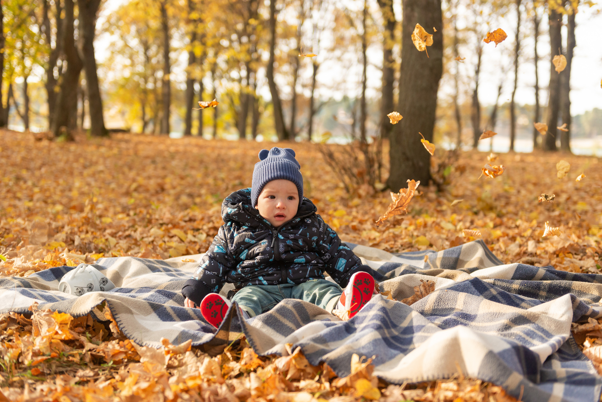 Золотая осень семьи Соболь. Свадебный и семейный фотограф в Дзержинске Екатерина Шулакова