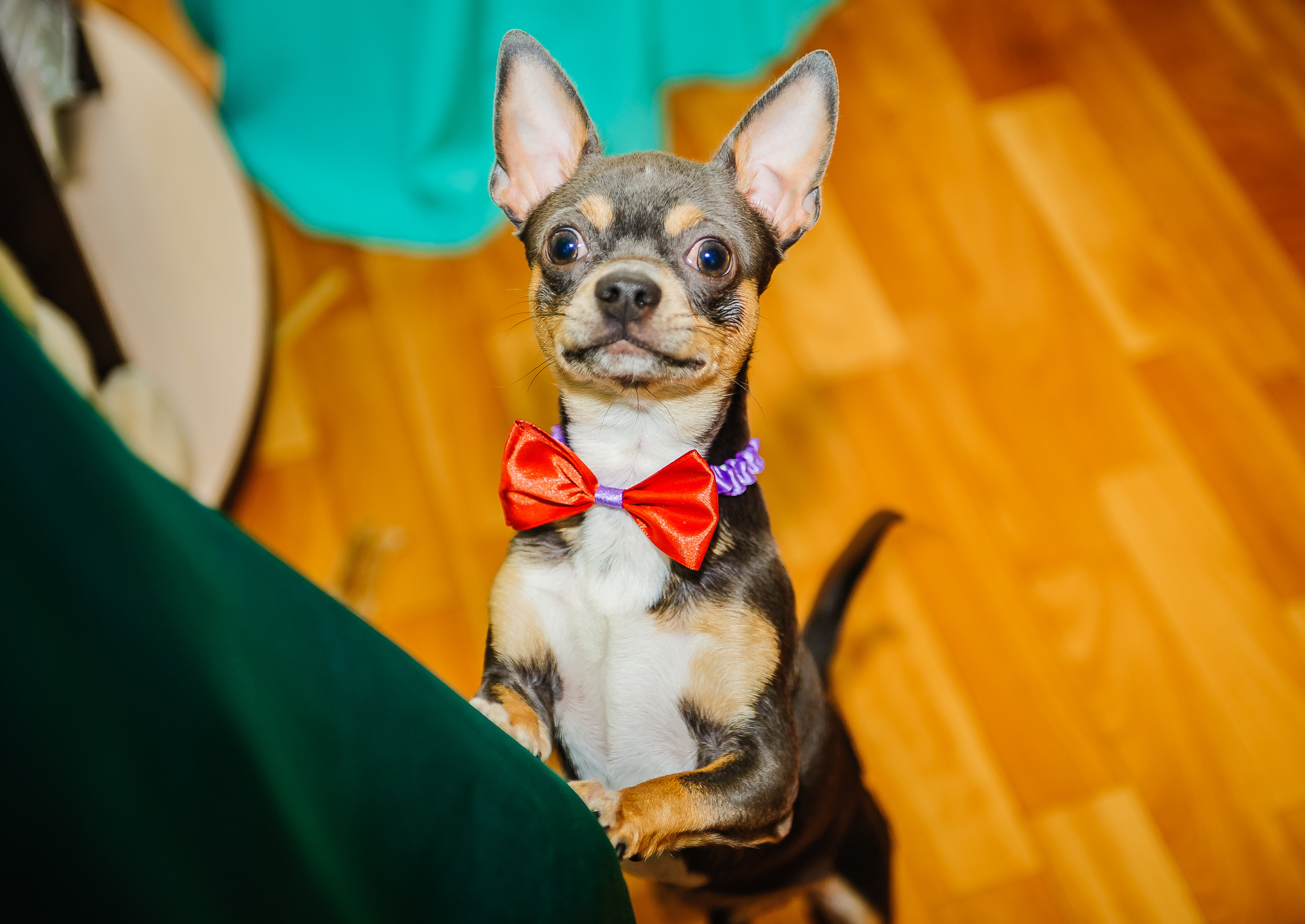 Дмитрий и Ольга. Свадебный и семейный фотограф в Дзержинске Екатерина Шулакова