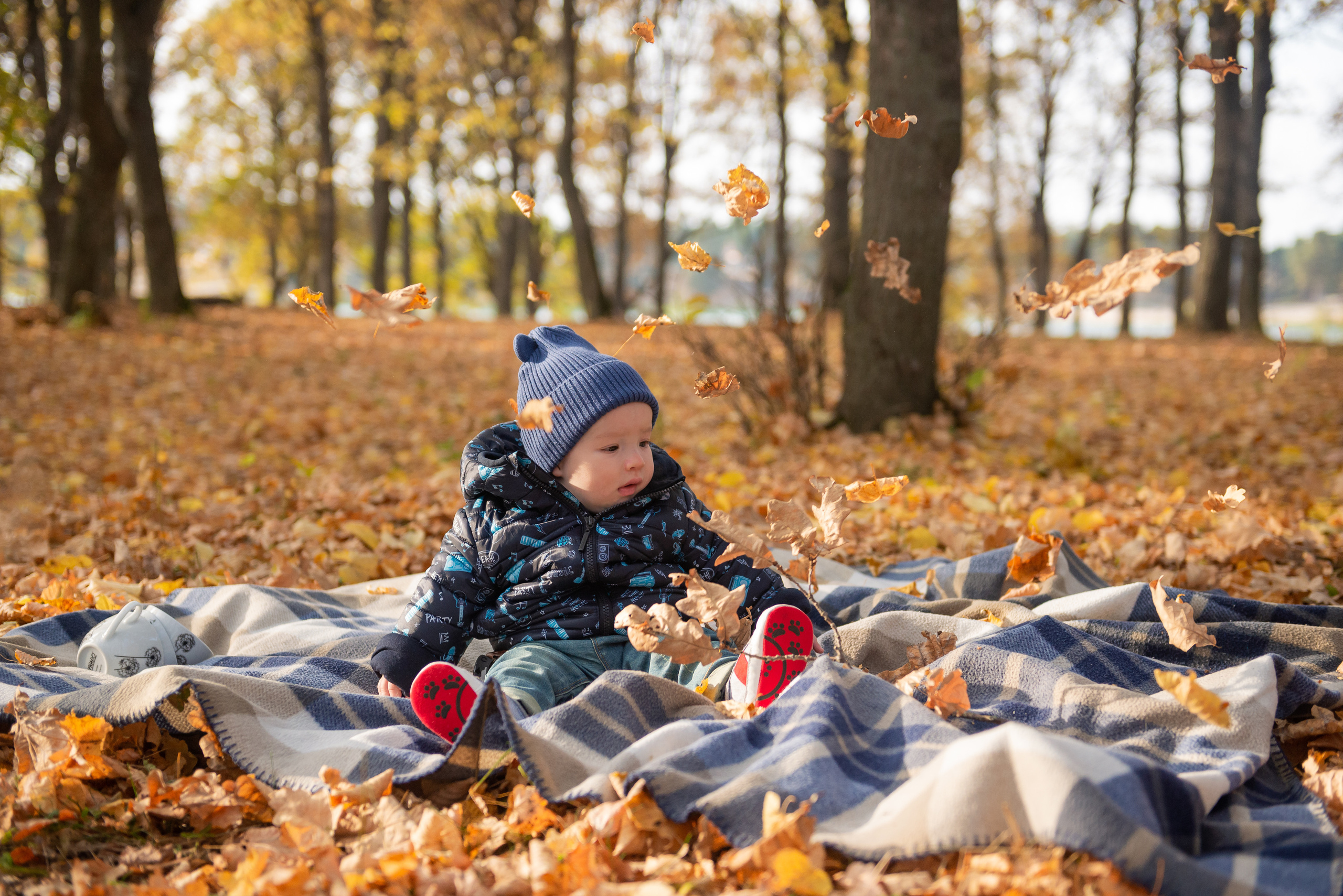 Золотая осень семьи Соболь. Свадебный и семейный фотограф в Дзержинске Екатерина Шулакова