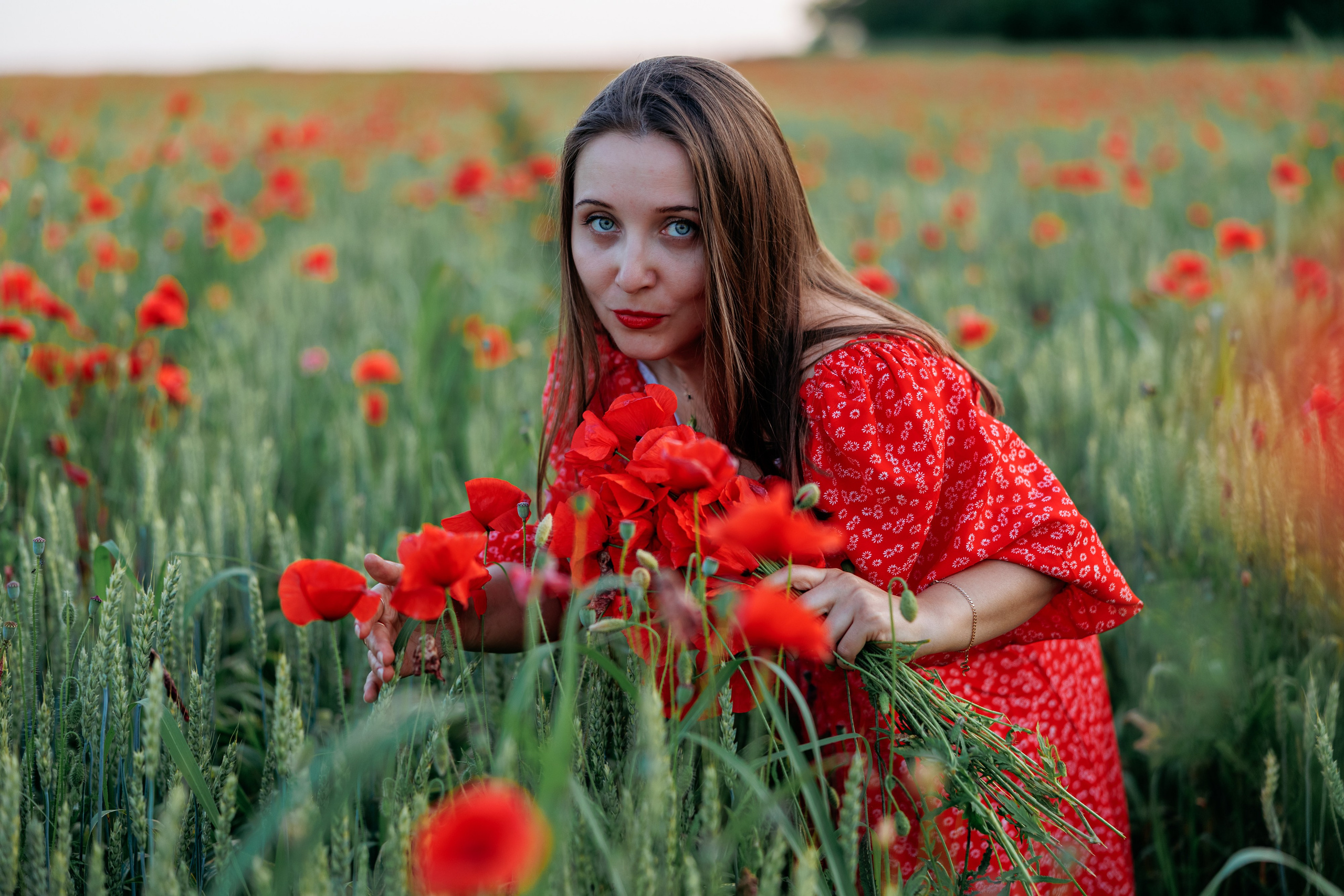 Маки. Свадебный и семейный фотограф в Армавире