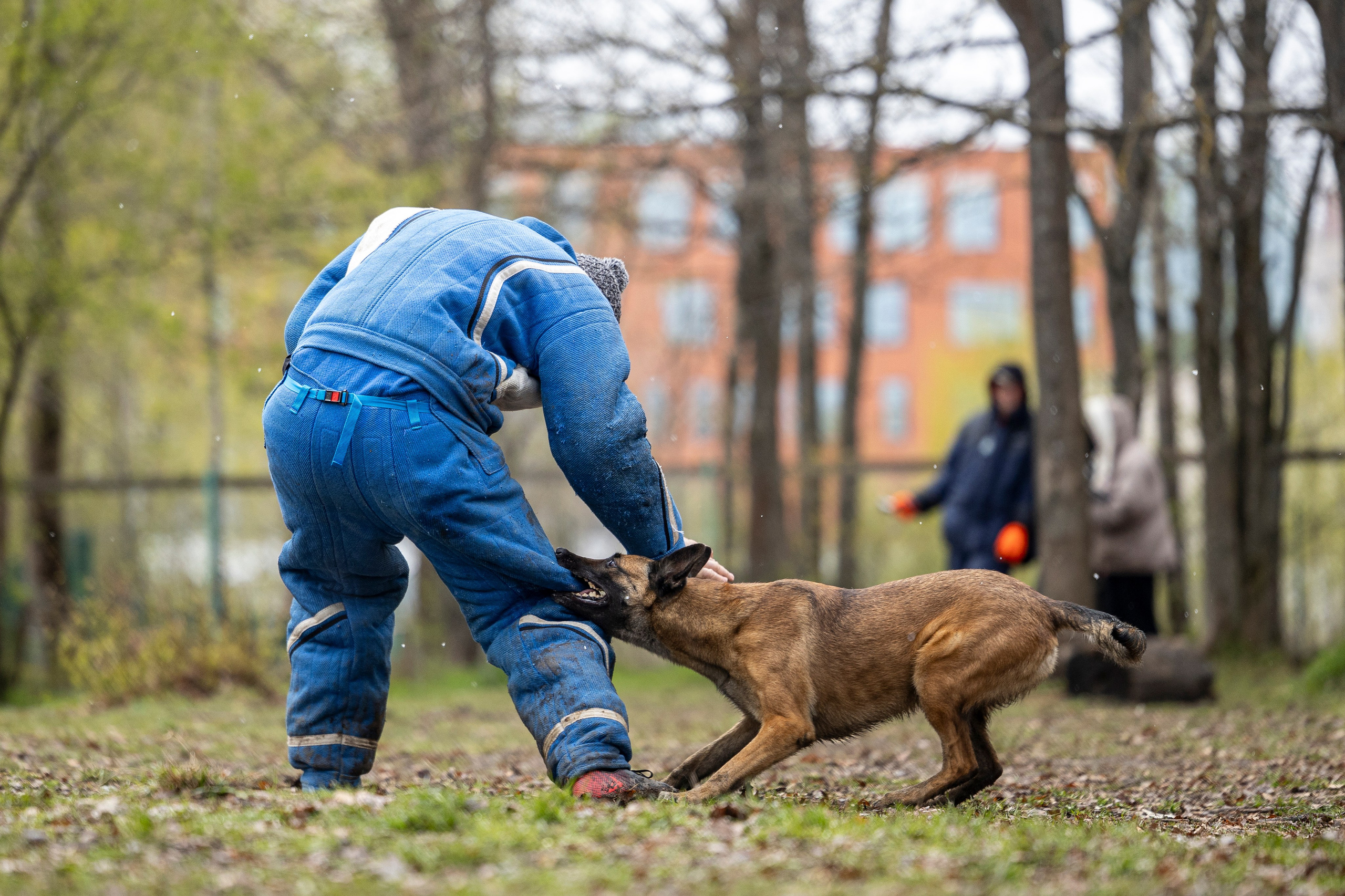 Квалификационные состязания по мондьорингу г. Вологда 11.05.24. Фотограф-анималист Анна Маринич