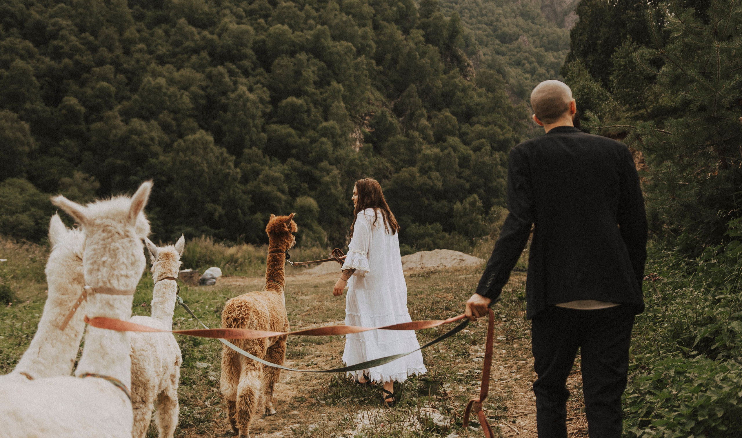 TIGRAN & VICTORIA | KISLOVODSK. Фотограф Настя Конник | Пятигорск | Эльбрус | Домбай | Архыз