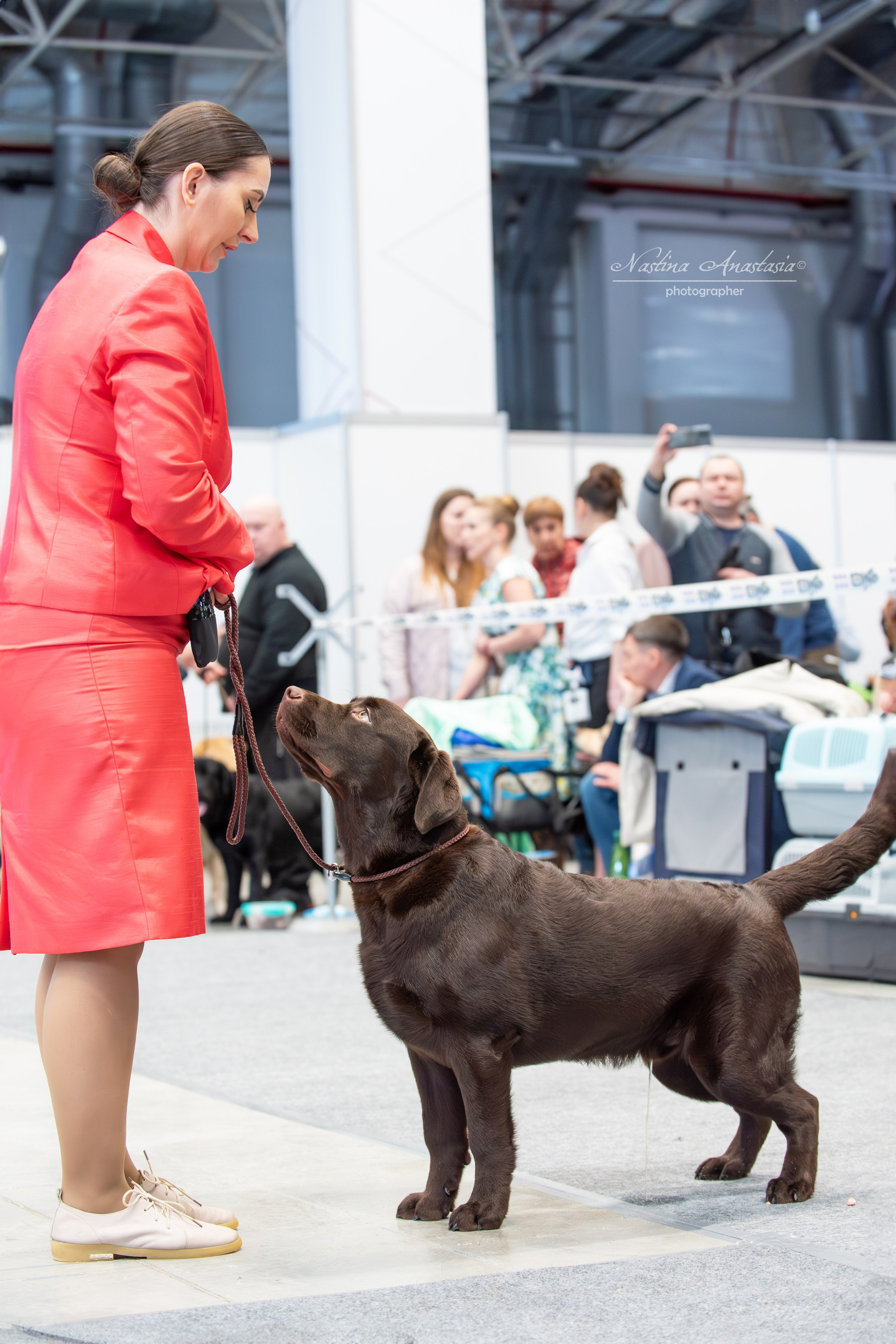 Выставки. Фотограф — Анималист