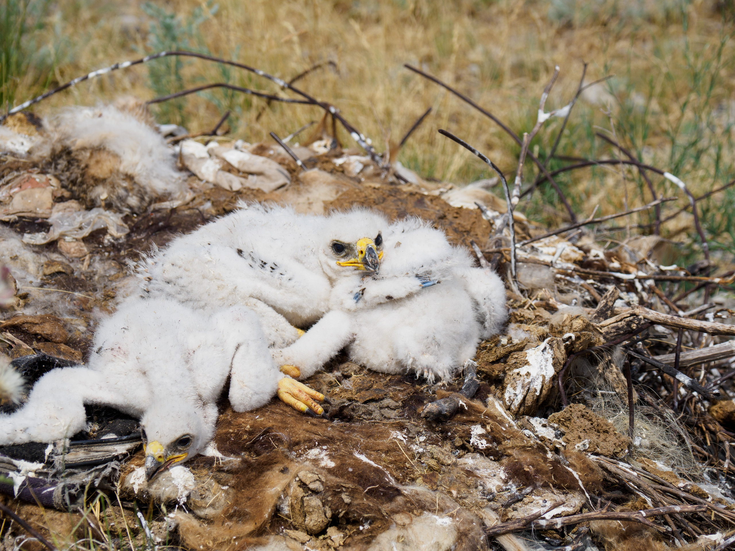 Эльтон 2024. Творческие сьемки